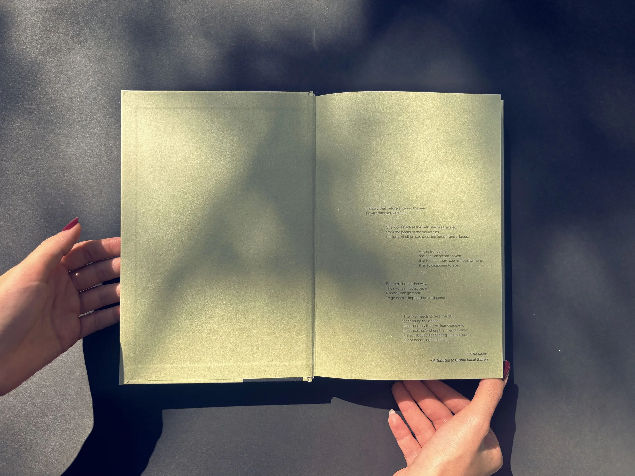 Abboudy Mallah | The Puppeteer