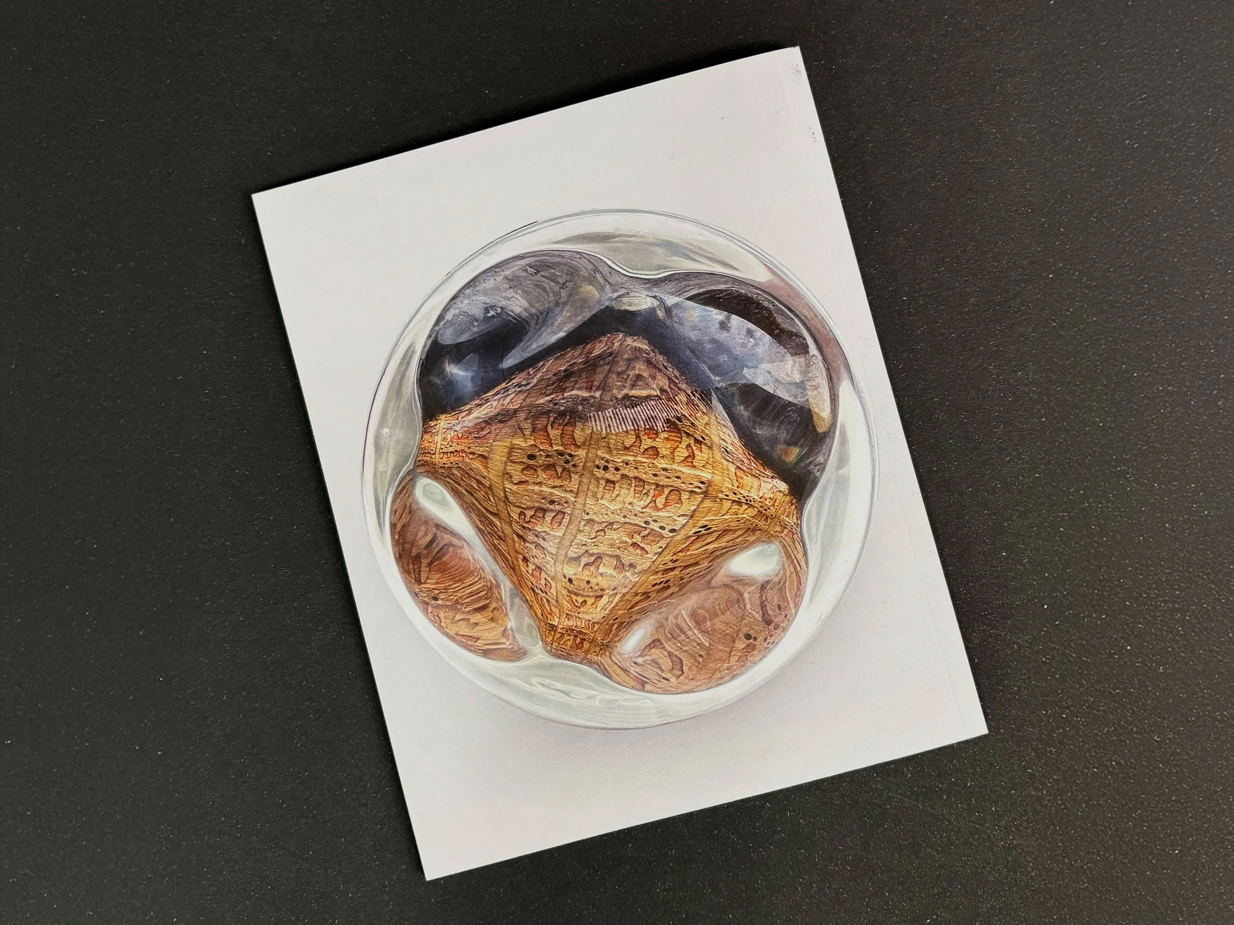 Joana-Hadjithomas-Khalil-Joreige-Materials-from-the-earth-IMG_0920-2.jpg