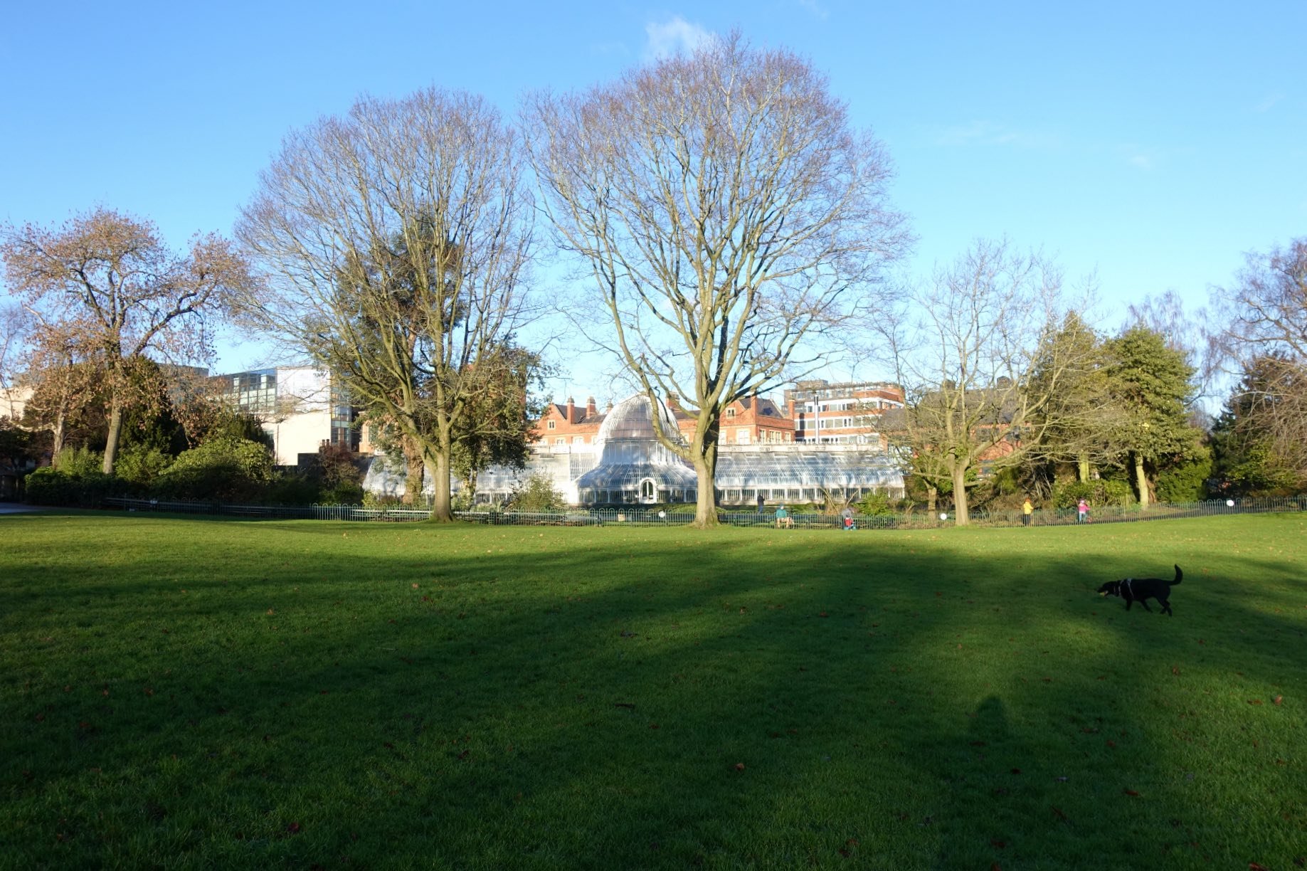 Belfast Botanic Gardens 