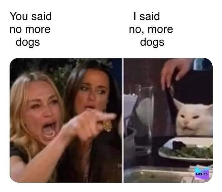 Daily conversations at my house. How about yours?