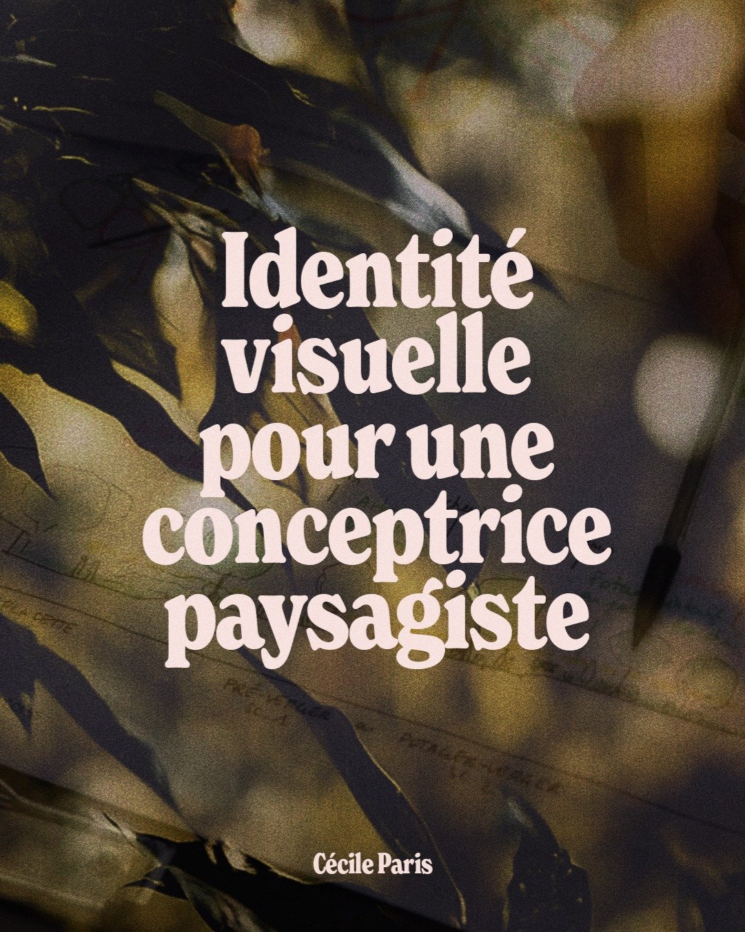 C&eacute;cile Paris &bull; Projet en ligne 🌳

C&eacute;cile m&rsquo;a sollicit&eacute;e pour cr&eacute;er son univers visuel et le d&eacute;cliner sur divers supports pour candidater sur des projets. Nous avons cr&eacute;er une identit&eacute; visue
