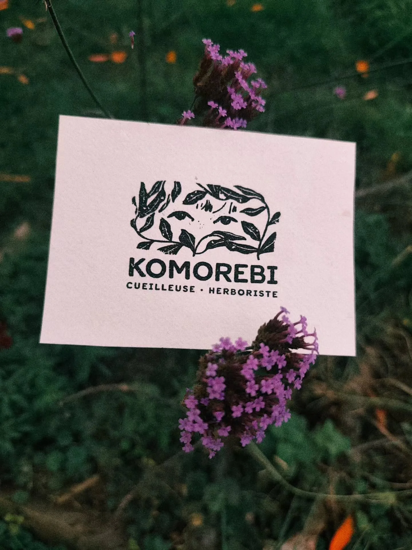 KOMOREBI 彡 LOGO

Introduction &agrave; la pr&eacute;sentation de l'identit&eacute; visuelle de Komorebi.

Une mise en lumi&egrave;re de ce projet qui m'a &eacute;t&eacute; confi&eacute; par Amandine. Des sensibilit&eacute;s communes pour le bleu, le 