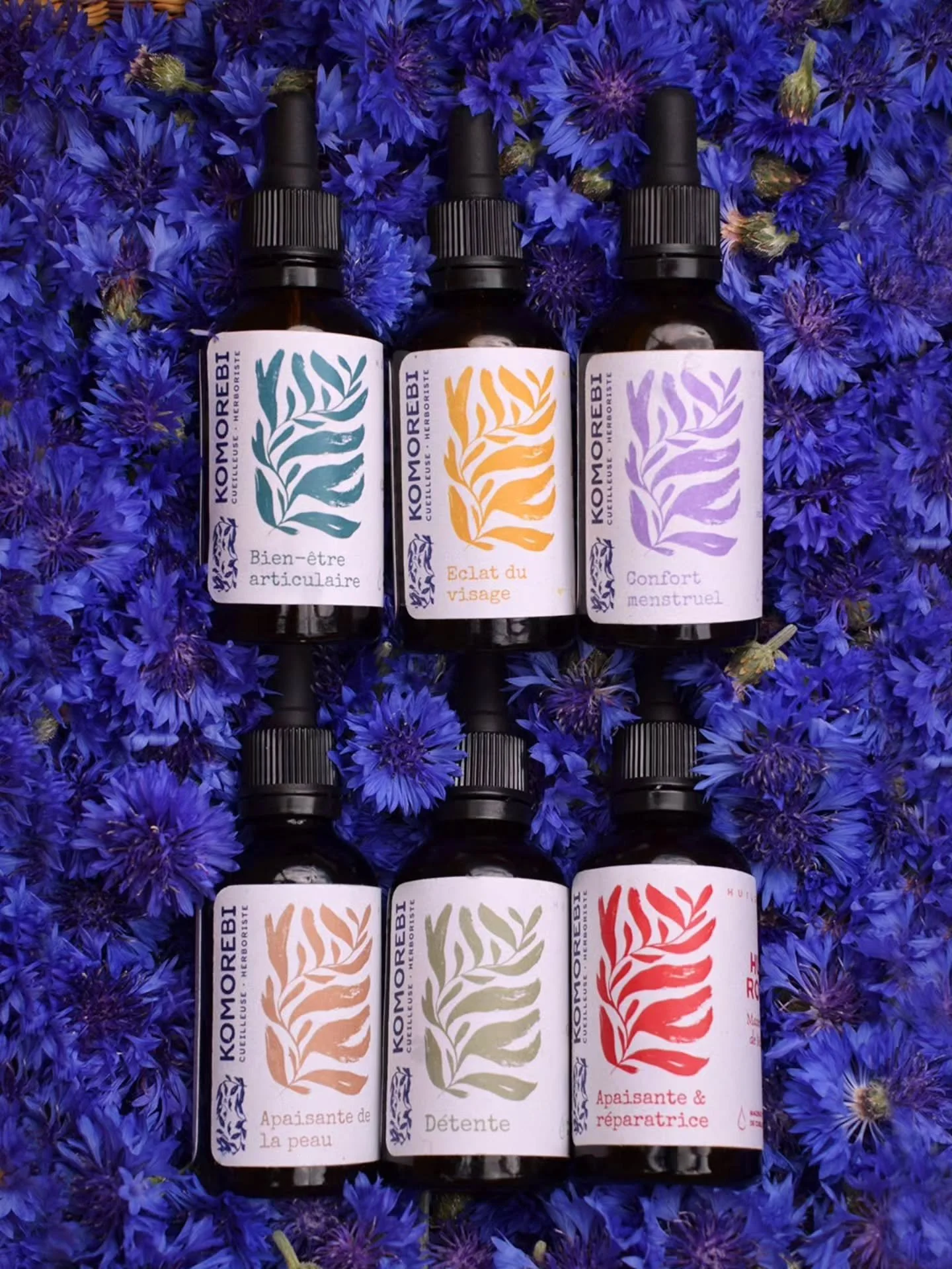 PASSION BLEUETS 

Je profite de garnir mon feed de ces tr&egrave;s jolies photos que @komorebi.lesmedicinales m'a livr&eacute;es ! Merci Amandine 🤗

Attendez, vous n'avez pas tout vu !! La suite arrive avec un format assez immersif sur les coulisses