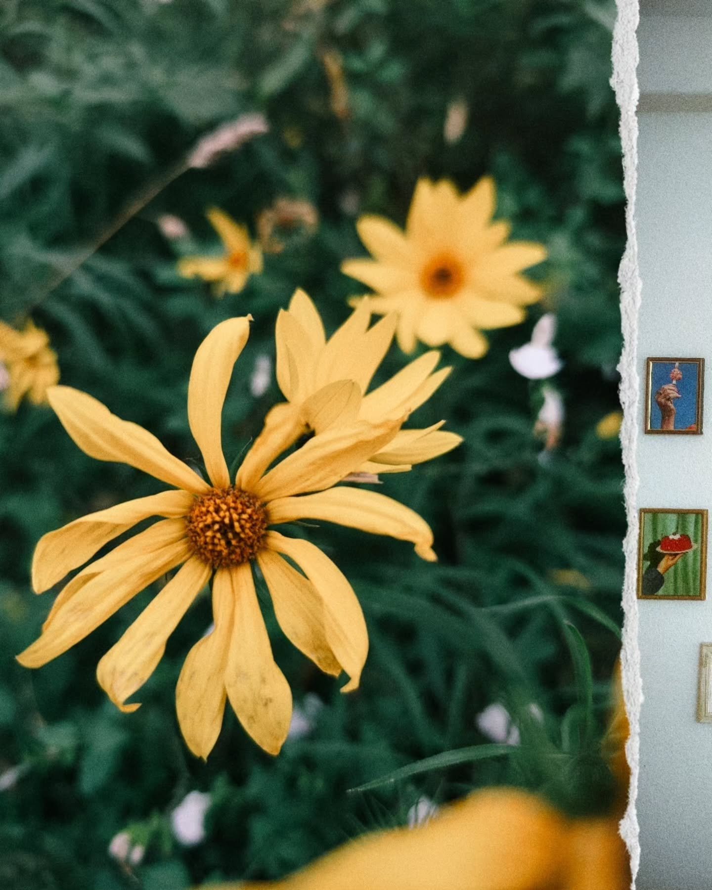 2025 dumb 🦋

Des petits morceaux de vie qui resteront grav&eacute;s dans mon c&oelig;ur.

#fragments #graphistefreelance #photodump #craftlovers #firstclassheroes