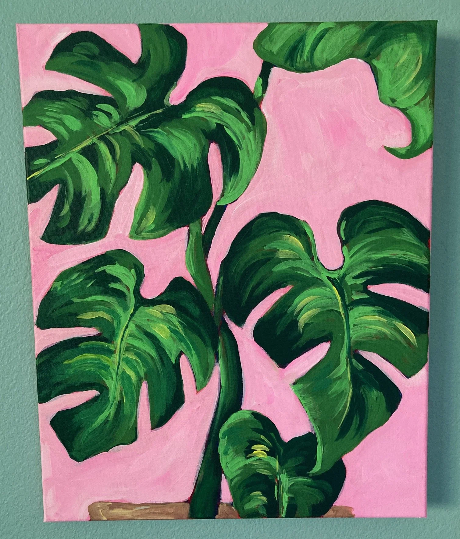 monstera.jpg