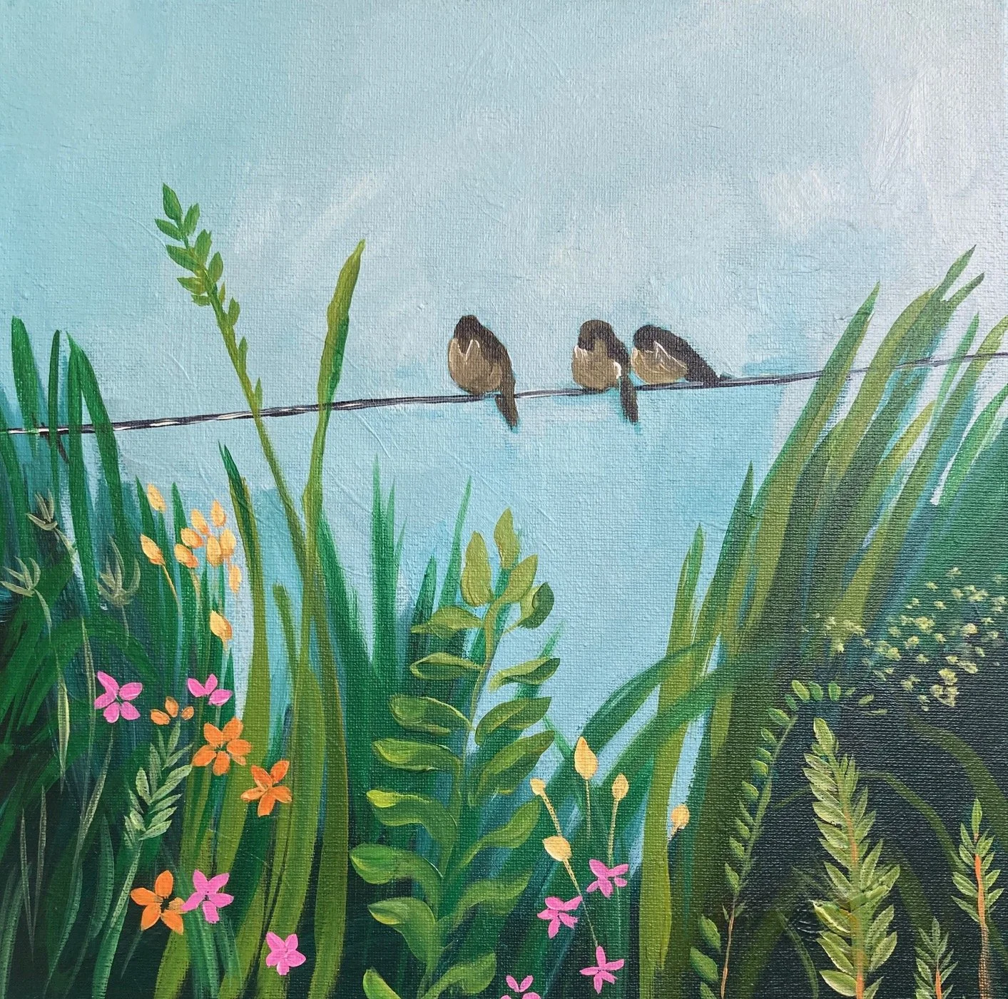 birds on a wire.jpg