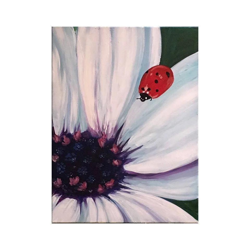 ladybug.jpg