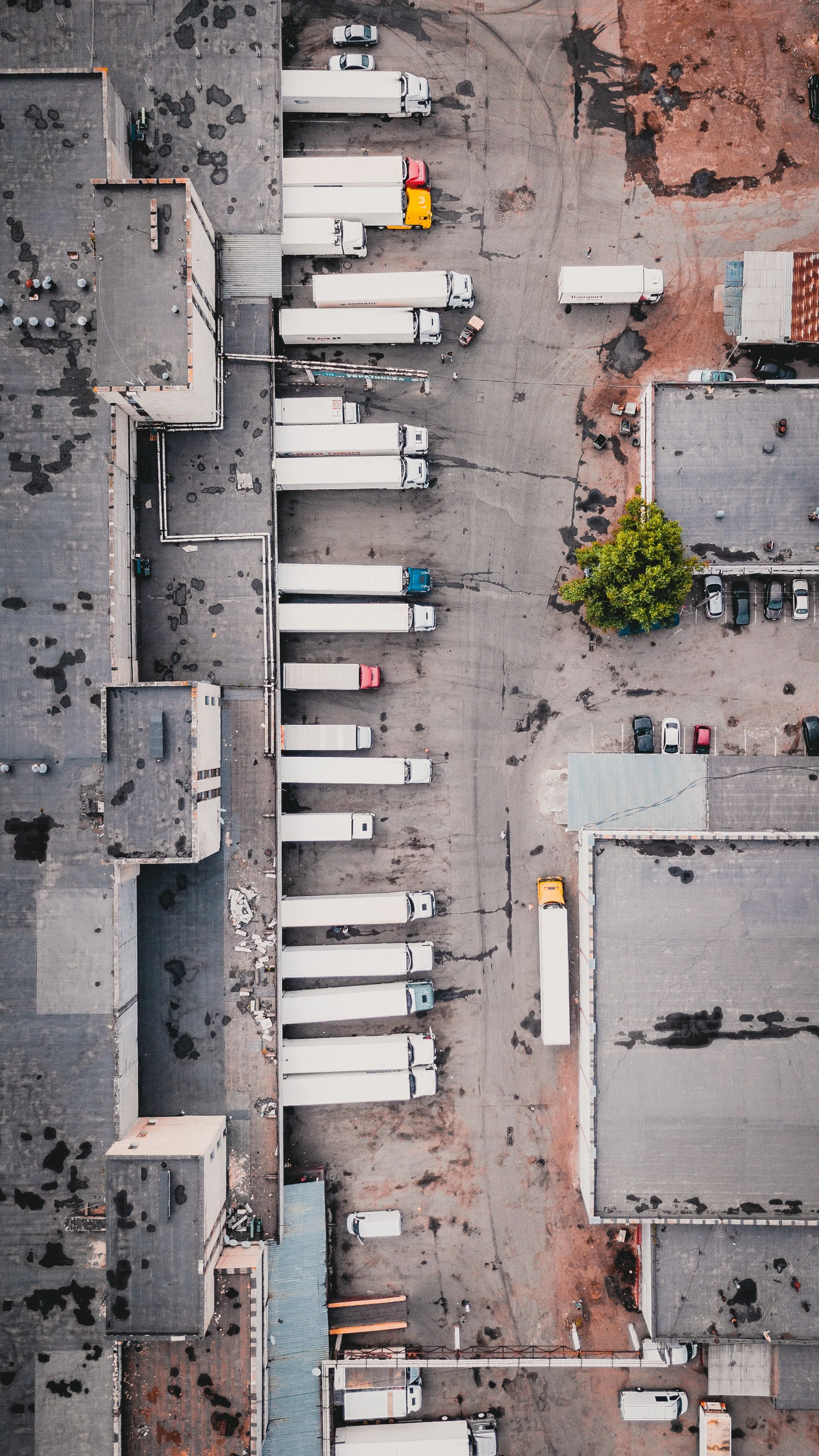 ivan-bandura-N_FDXbXwQmc-unsplash (1).jpg