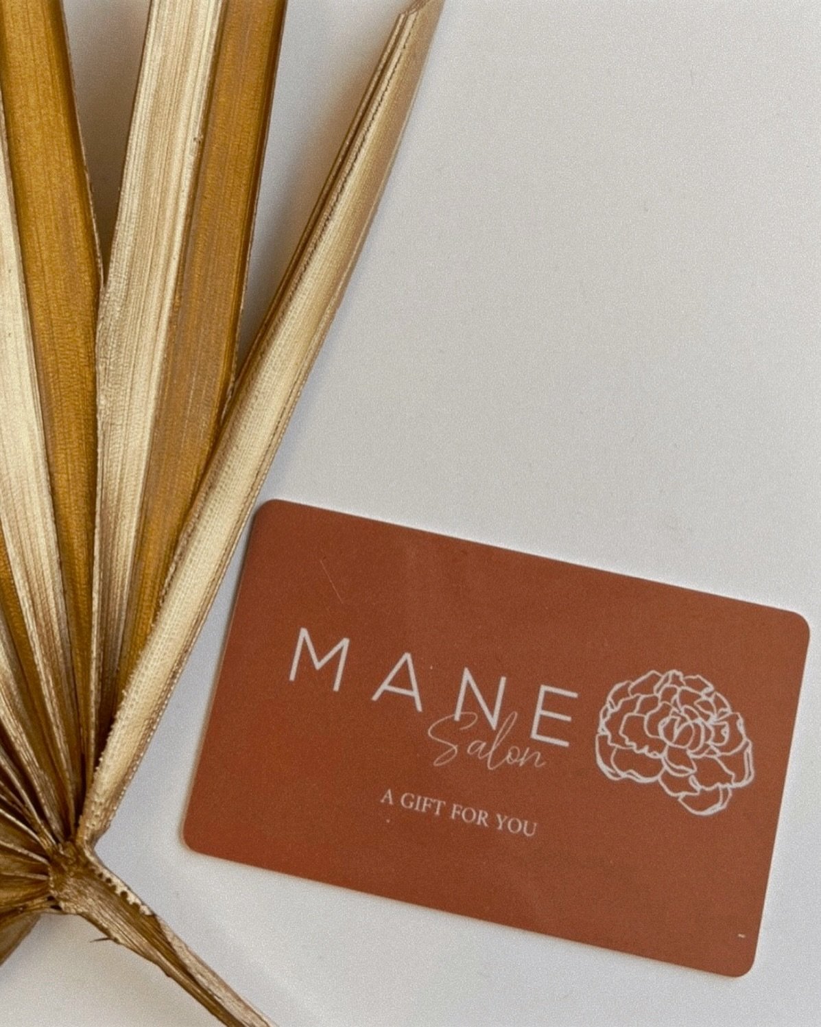 Because nothing says &lsquo;I love you&rsquo; like a gift card to MANE 🤍

.

#giftcard #salon #giftgiving #hairsalon #manesalon