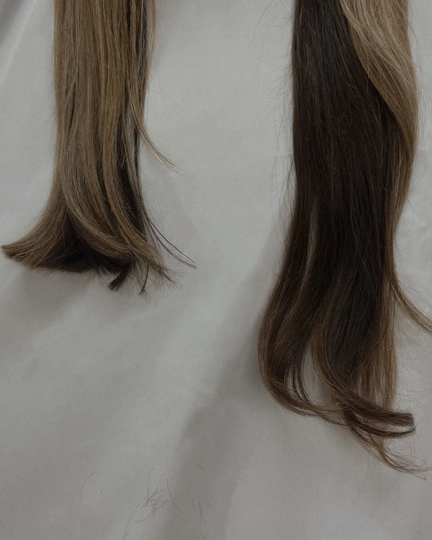healthy &gt; long ✂️

.

#healthyhair #hairhealth #hairtips #haircut #splitends #deadends #thickhair #haircutinspo #thisisyoursign #transformation #hairtransformation
