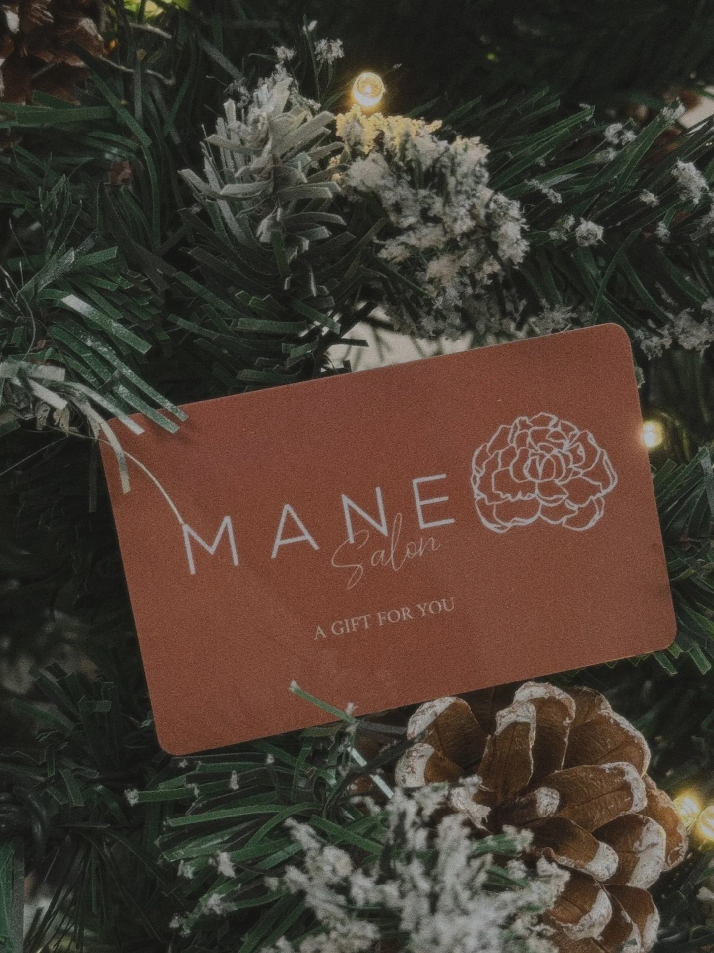 &lsquo;Tis the season for stocking stuffers 🎁

.

#christmas #holiday #hanukkah #merry #giftgiving #giftideas2025 #holidayseason #giftcard #salon #hairsalon