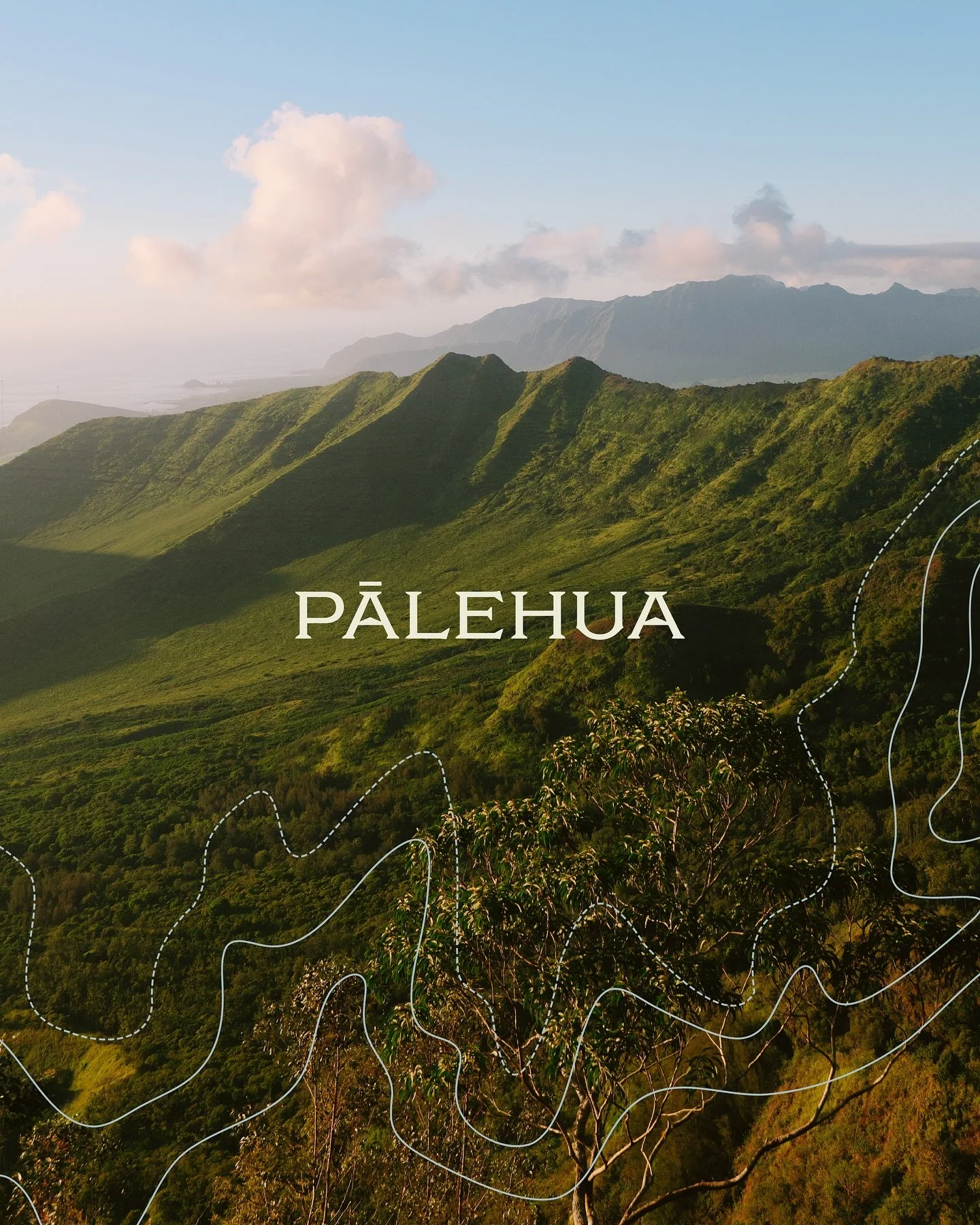 Brand development and identity for Pālehua Conservation Initiative, a nonprofit organization created in 2023 to promote &lsquo;āina-based education and stewardship that protects and restores natural, cultural and community resources of the southern W