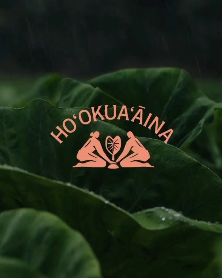 More than farming, it&rsquo;s a movement 🌱 @hookuaaina
[1/3]

Ho&rsquo;okua&rsquo;āina is more than a loʻi &mdash; it&rsquo;s a living classroom where mud, mentorship, and meaning come together. When we set out to help create their new identity, we 