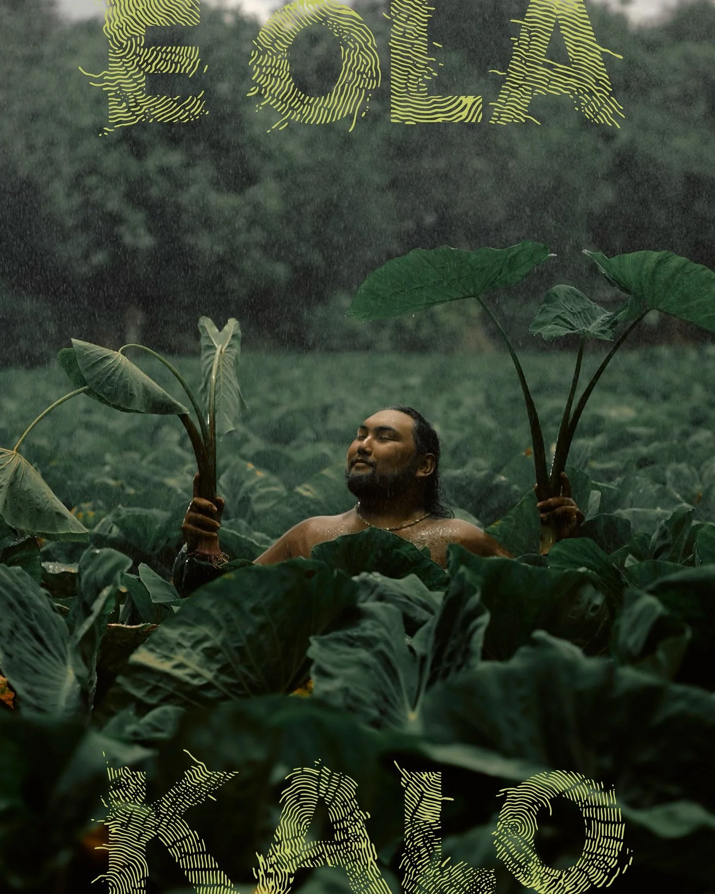 More than farming, it&rsquo;s a movement 🌱 @hookuaaina [2/3]

To expand on the visual story, we developed a suite of &ldquo;waiwai&rdquo; patterns inspired by the contours of land, the flow of water, and the human fingerprint. 

In Hawaiian, wai mea