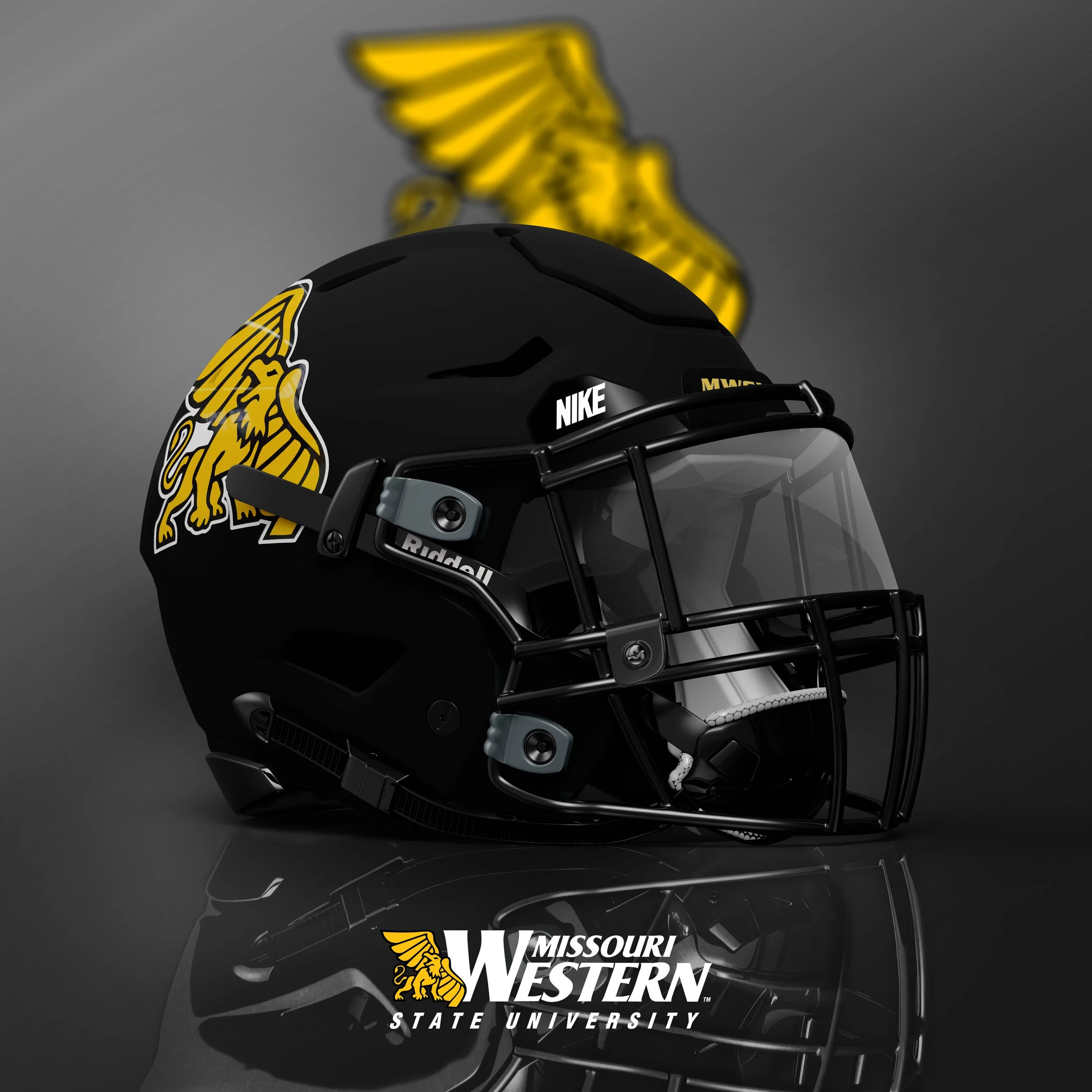 Colleges/Universities — Missouri Helmet Project