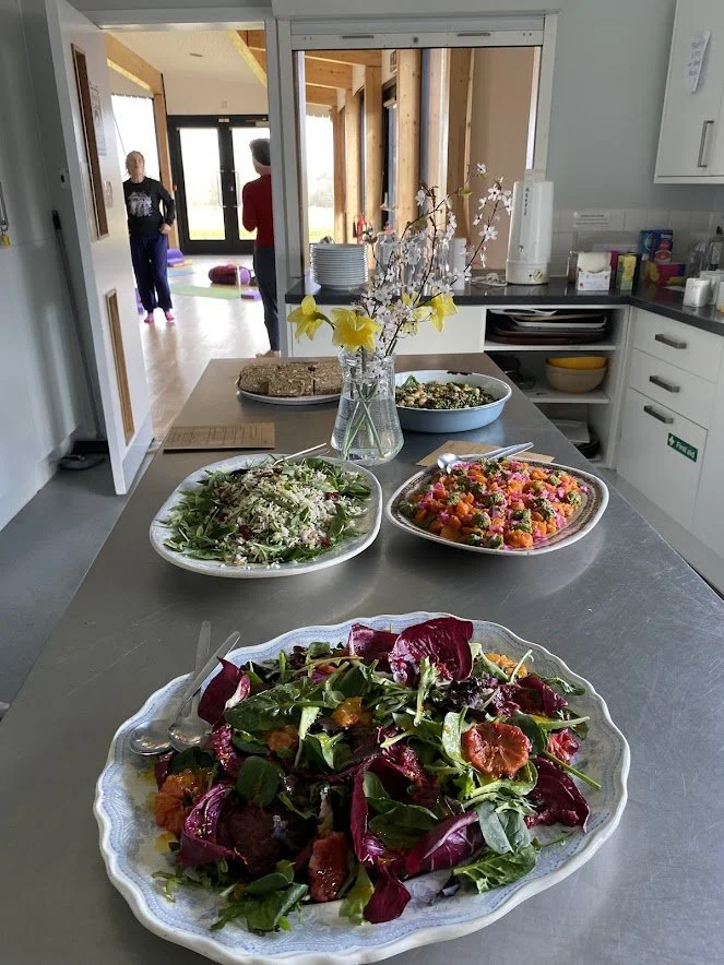 Delicious vegetarian lunch