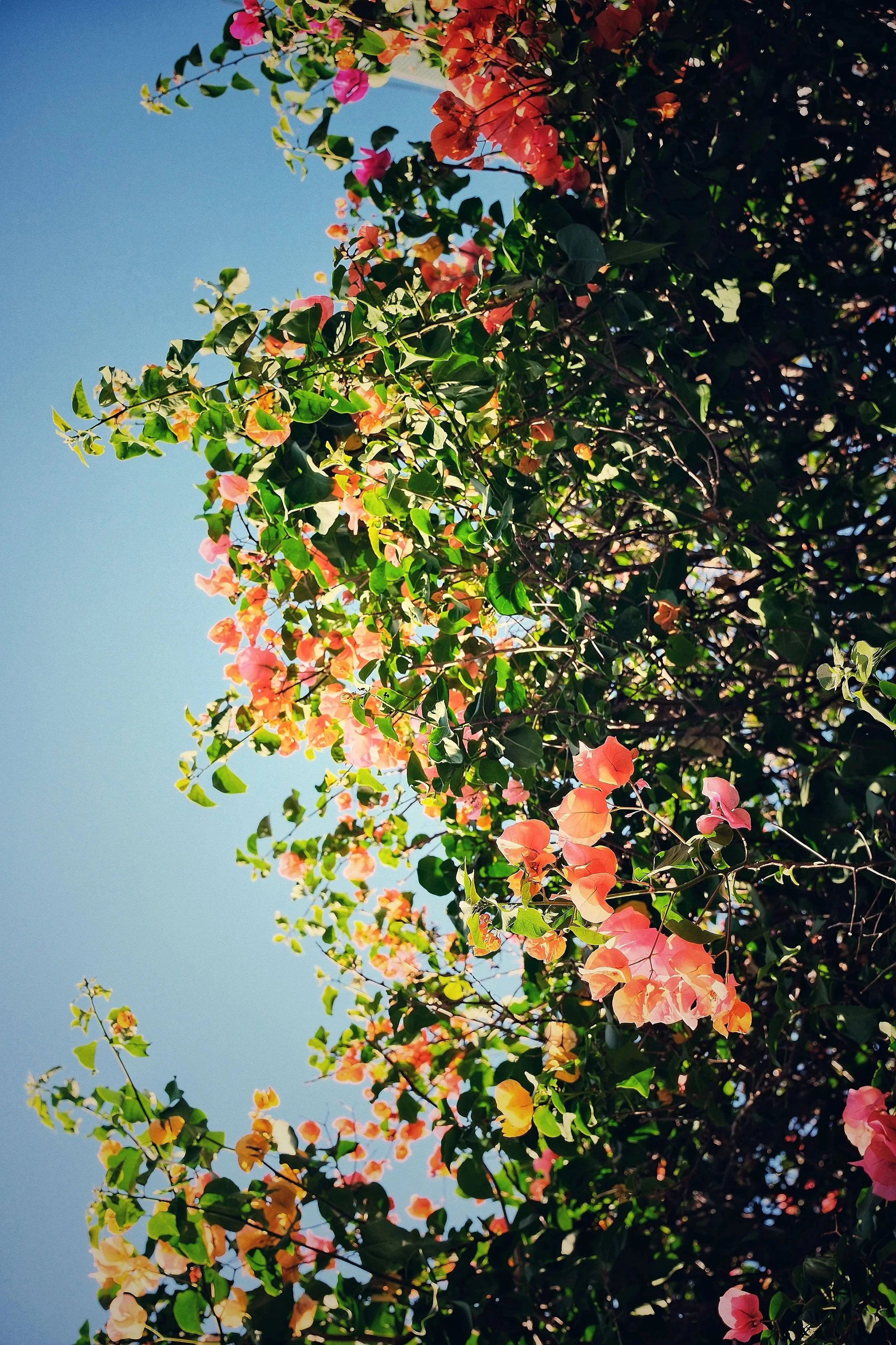 Spilling beyond the Lines