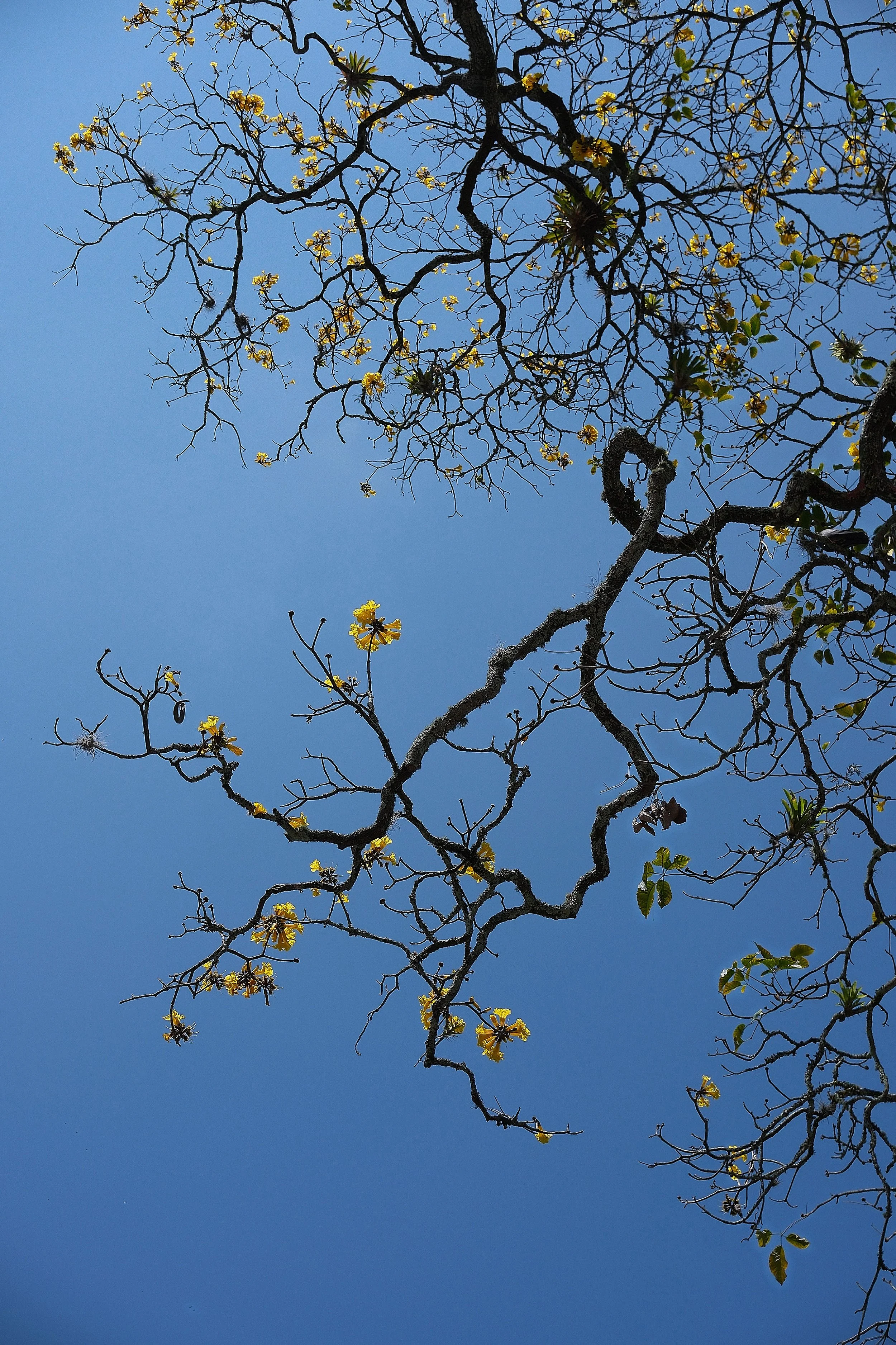 Spilling beyond the Lines