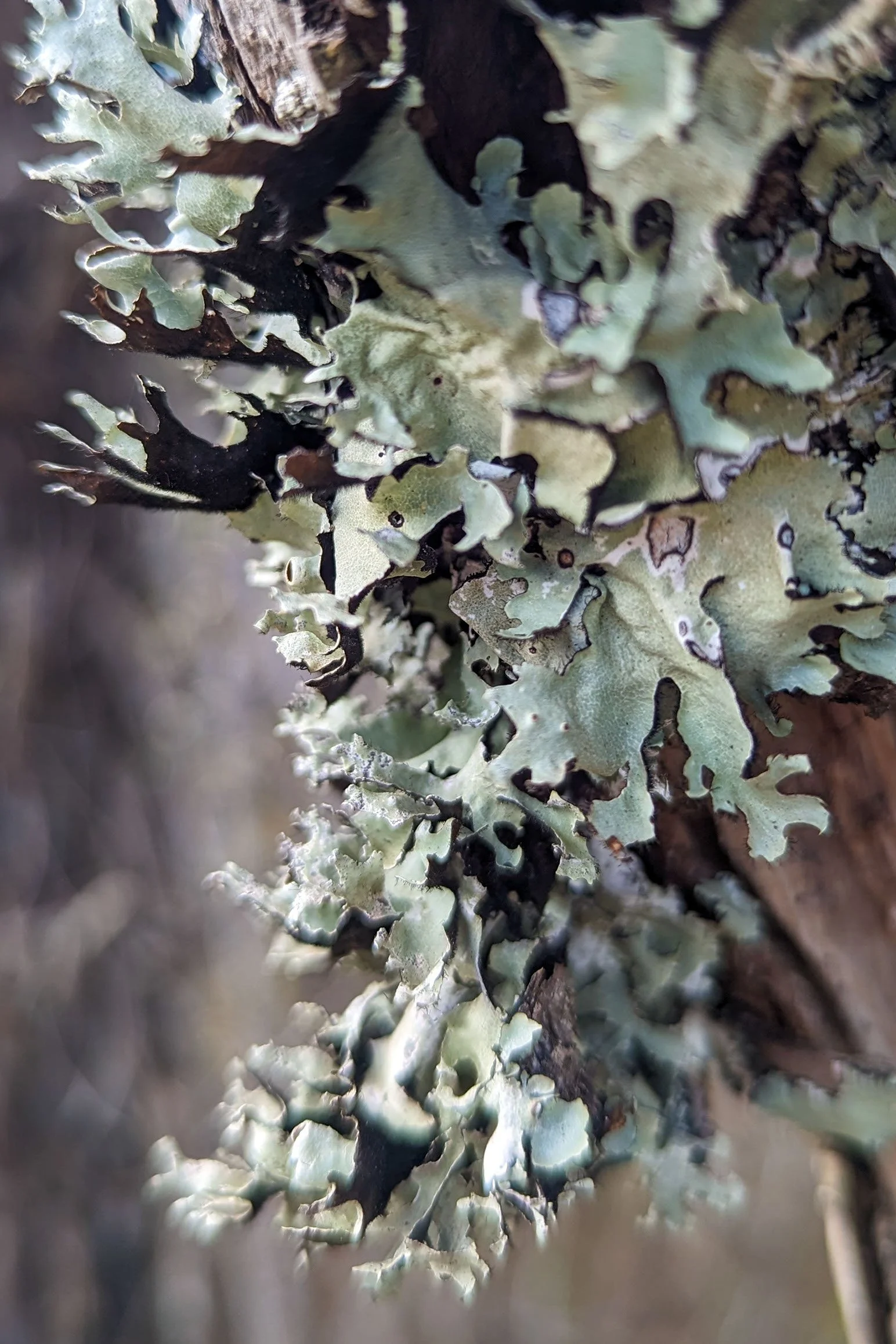 Spilling beyond the Lines