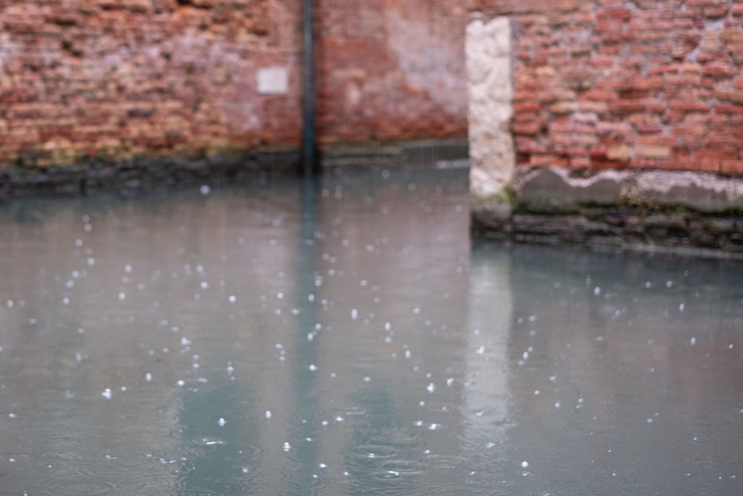 Vedere Venezia e non morire