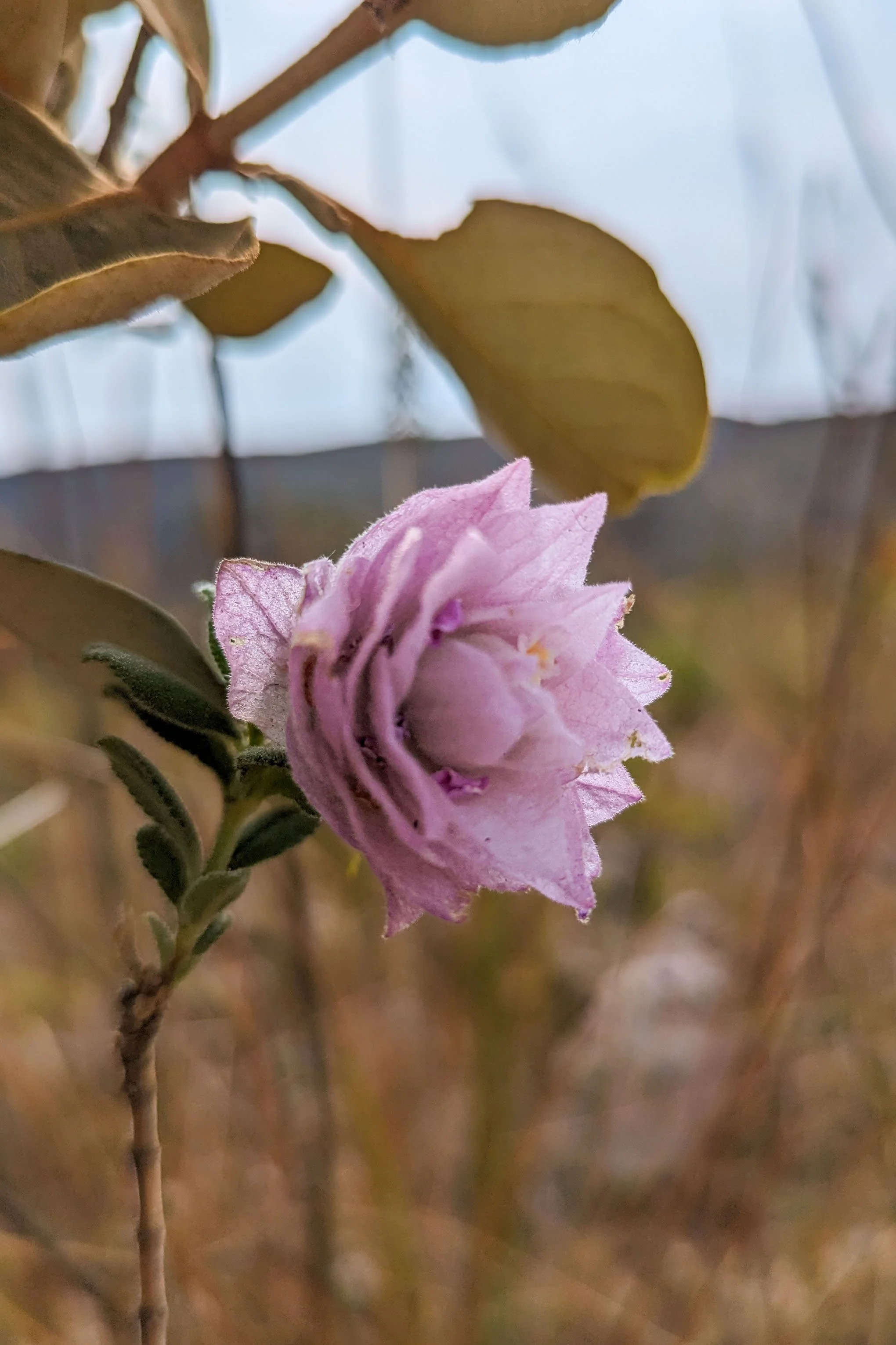 Spilling beyond the Lines