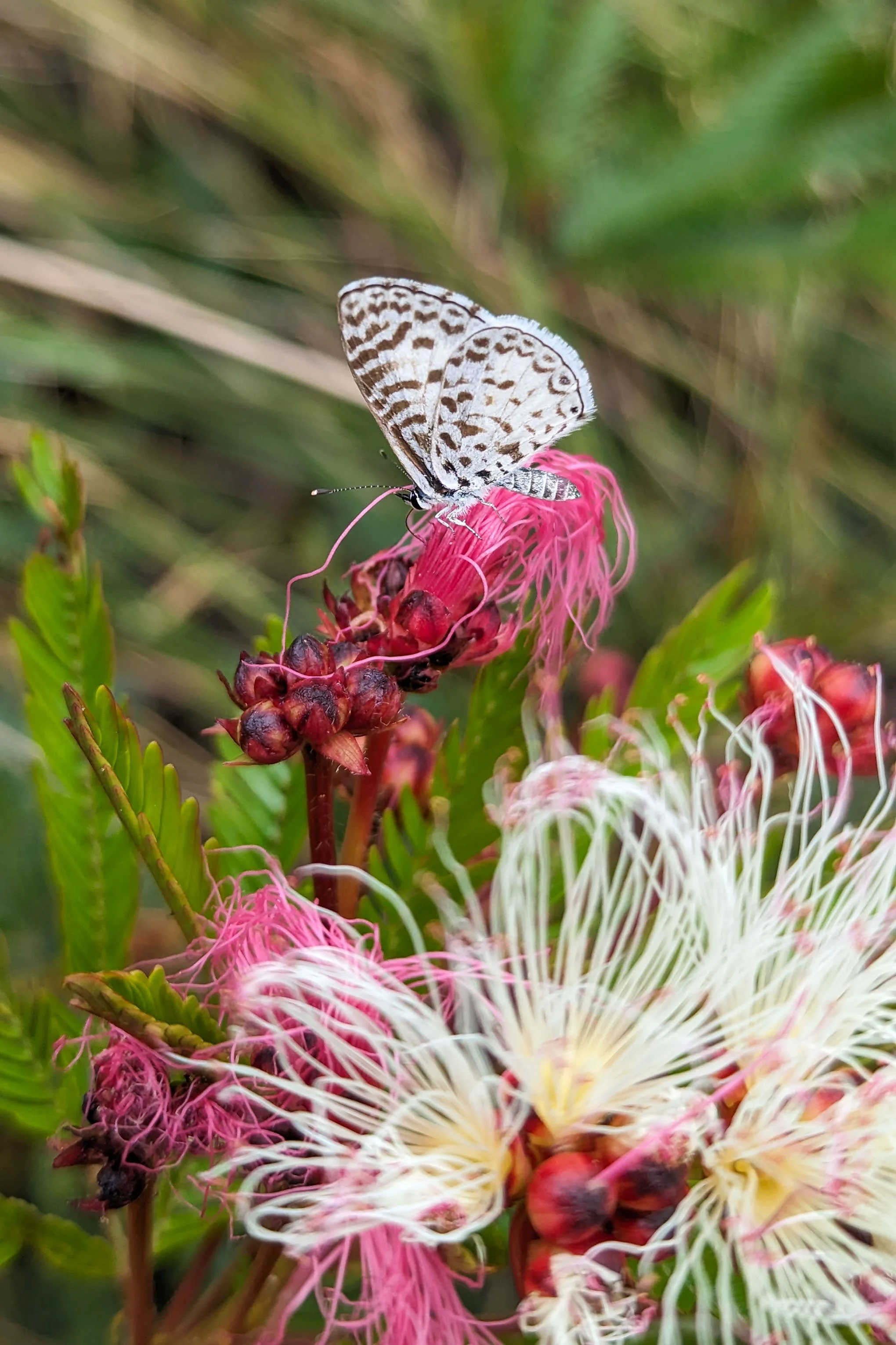 Spilling beyond the Lines