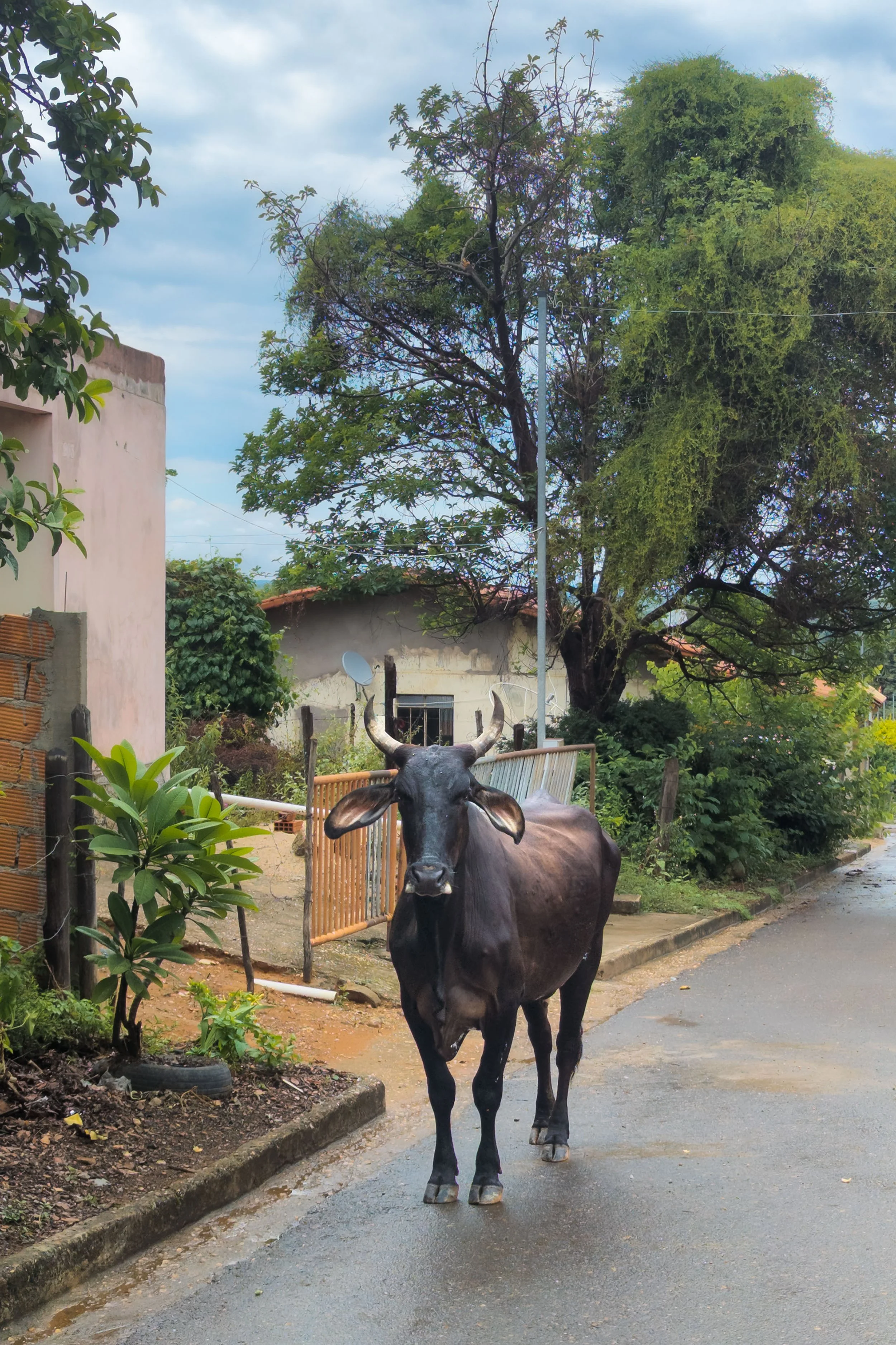 Spilling beyond the Lines