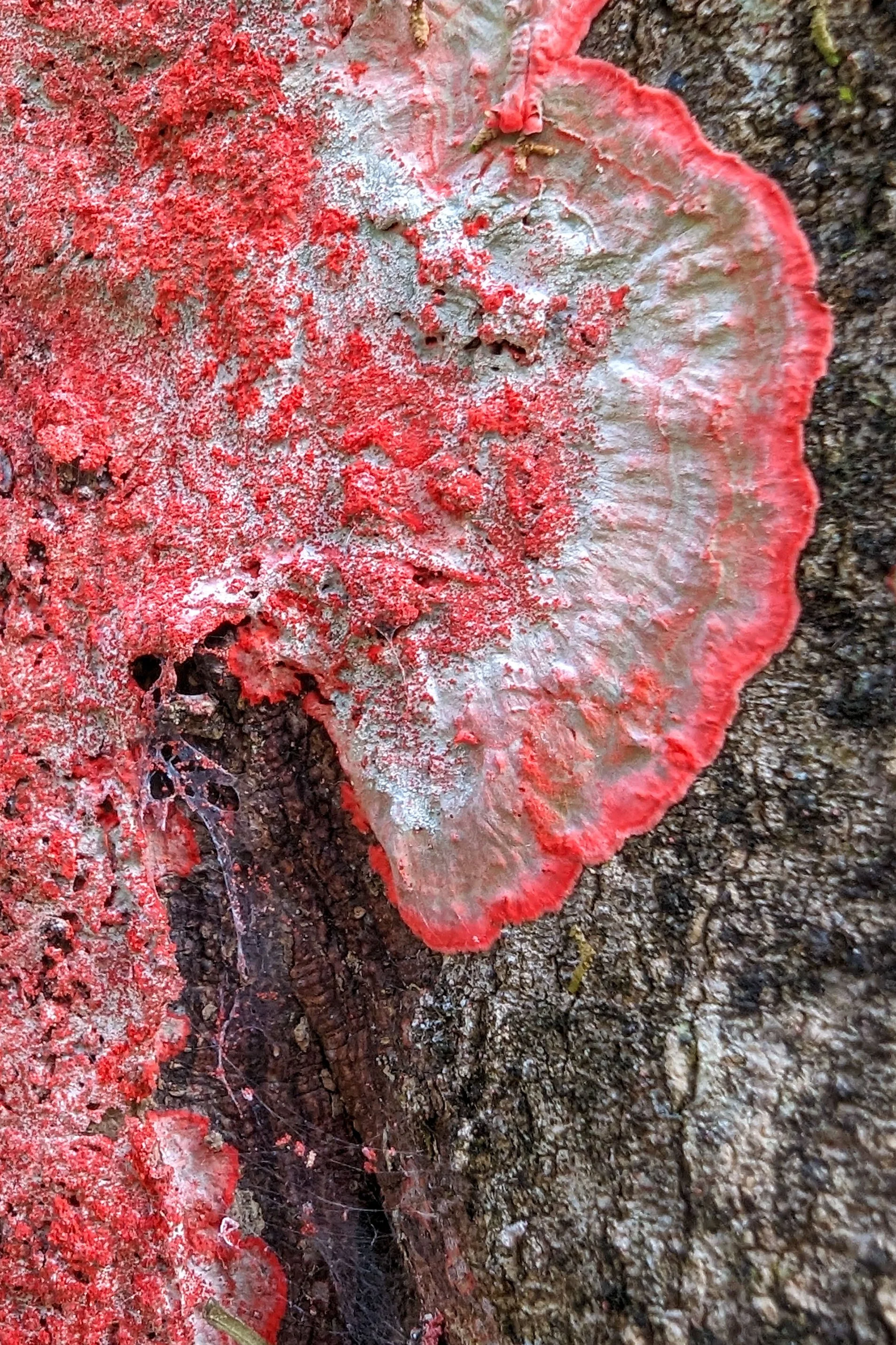 Spilling beyond the Lines