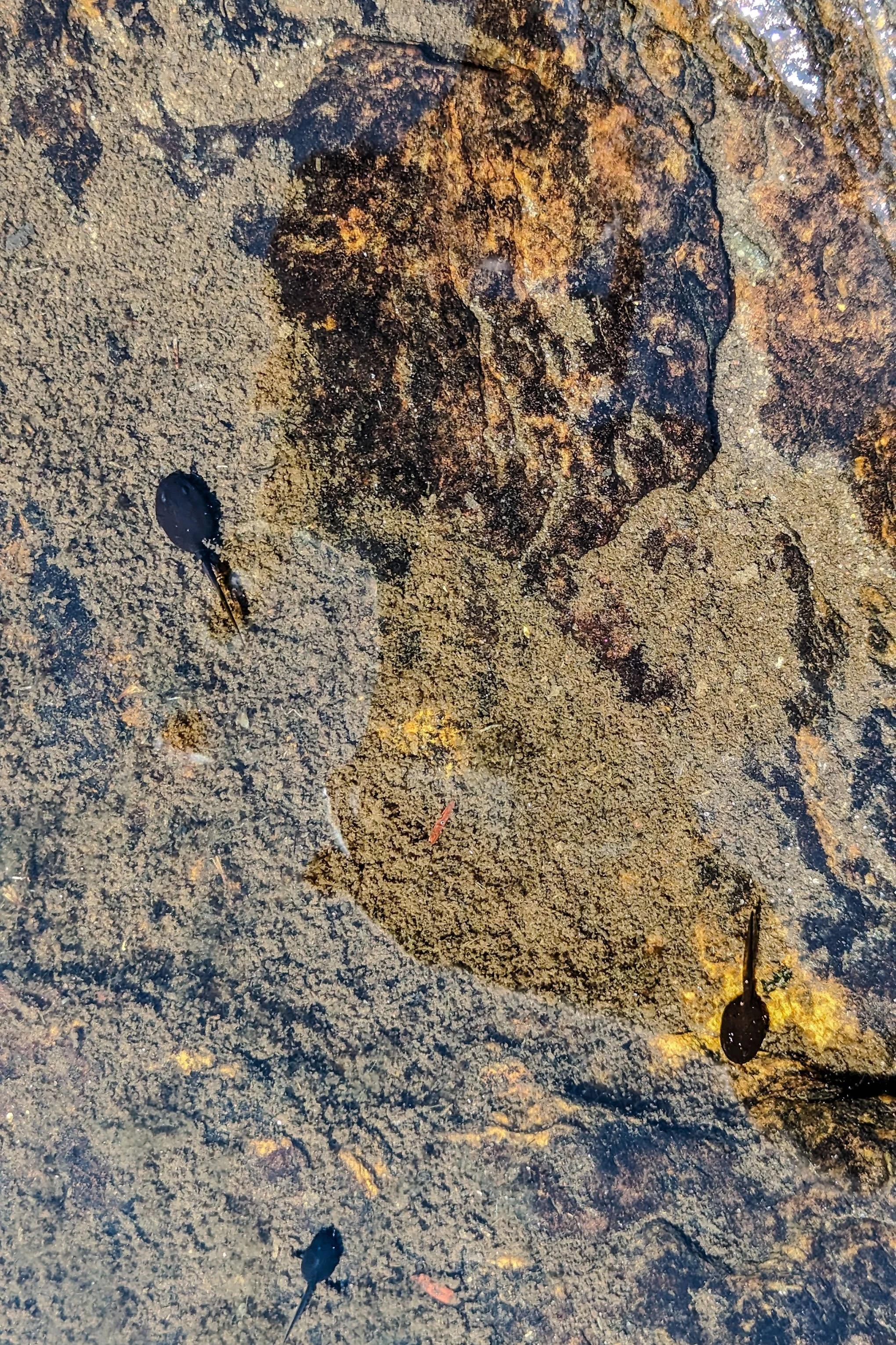 Spilling beyond the Lines