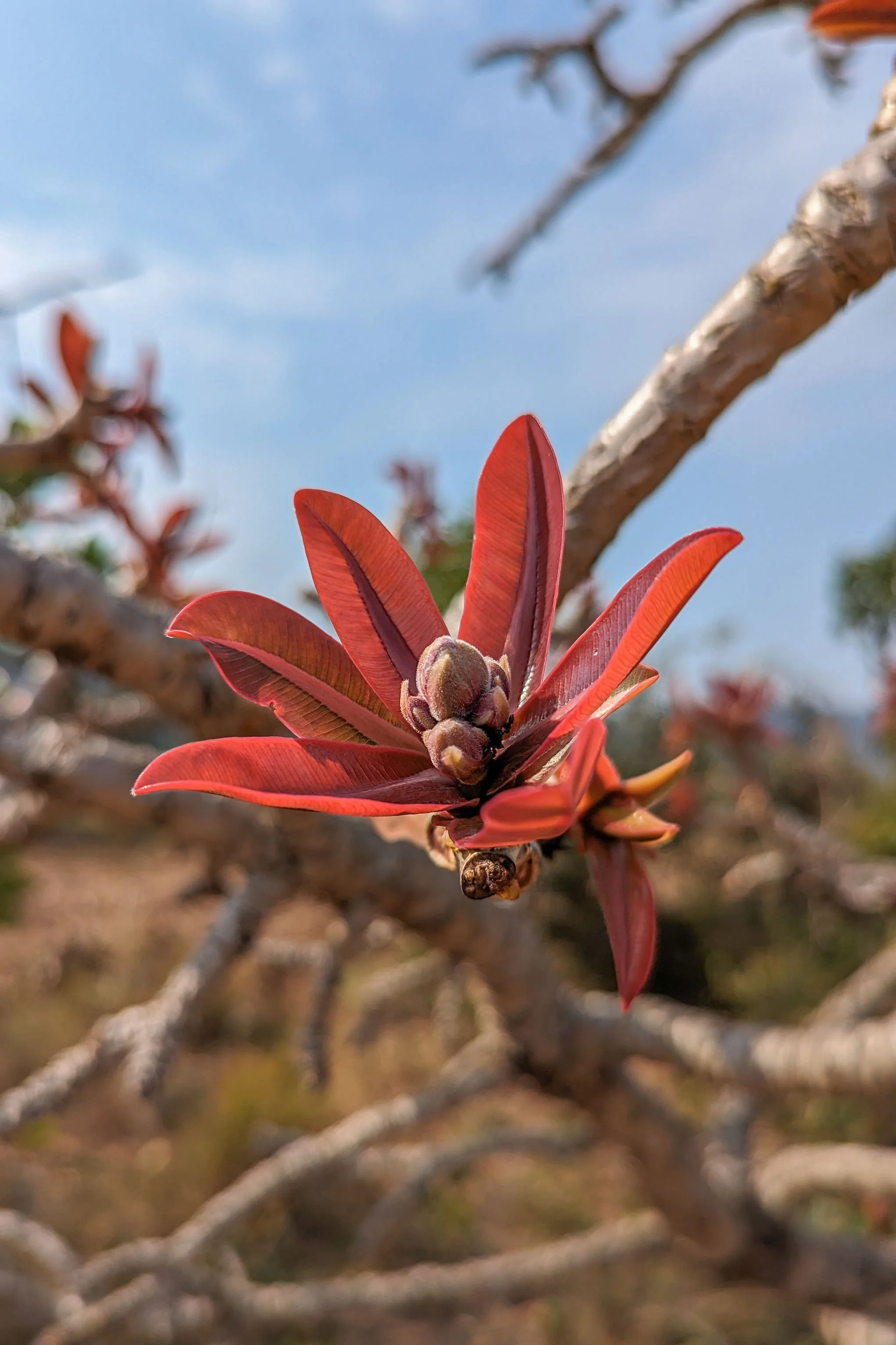 Spilling beyond the Lines