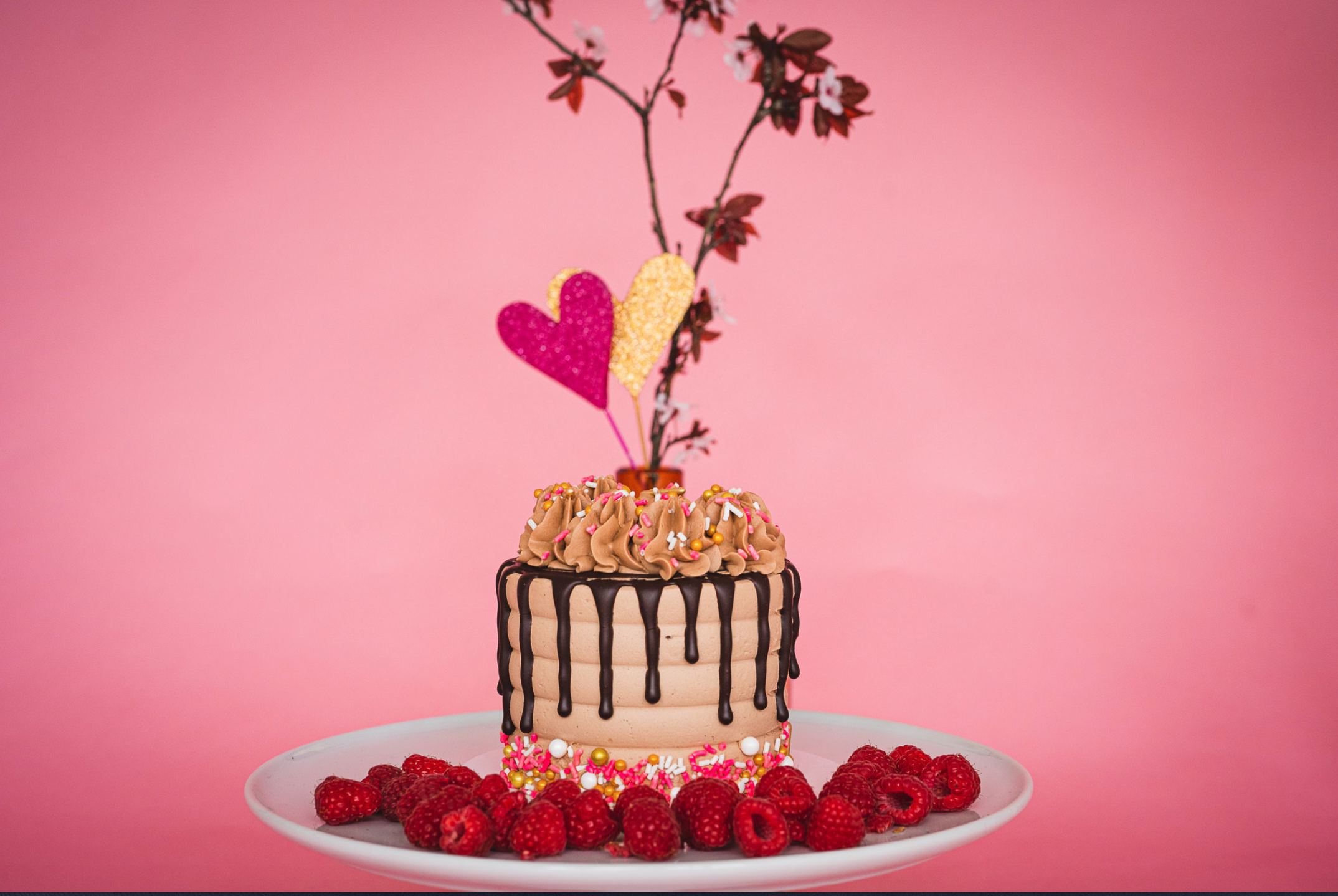 Screen Shot 2023-02-02 at 9.50.38 PM.png