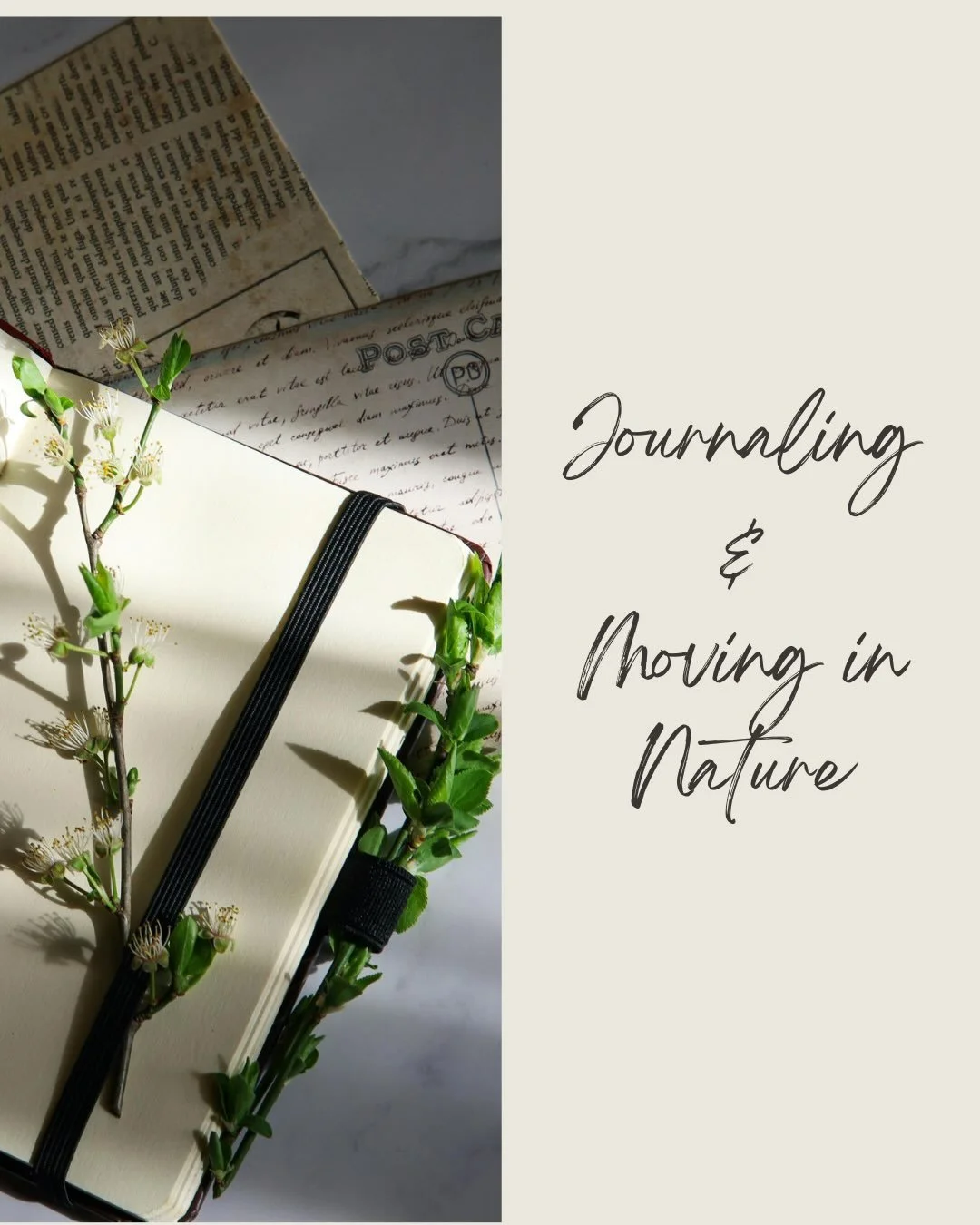 Join us on 30th August for a morning of self-care, connection, and presence.

Together, we&rsquo;ll embrace the power of journaling and mindful movement in nature&mdash;creating space to slow down, reconnect, and simply be.

We can&rsquo;t wait to ho