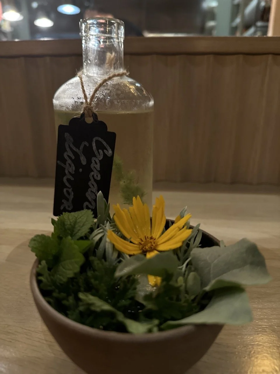 39_Restaurant_Botanic Large.jpeg