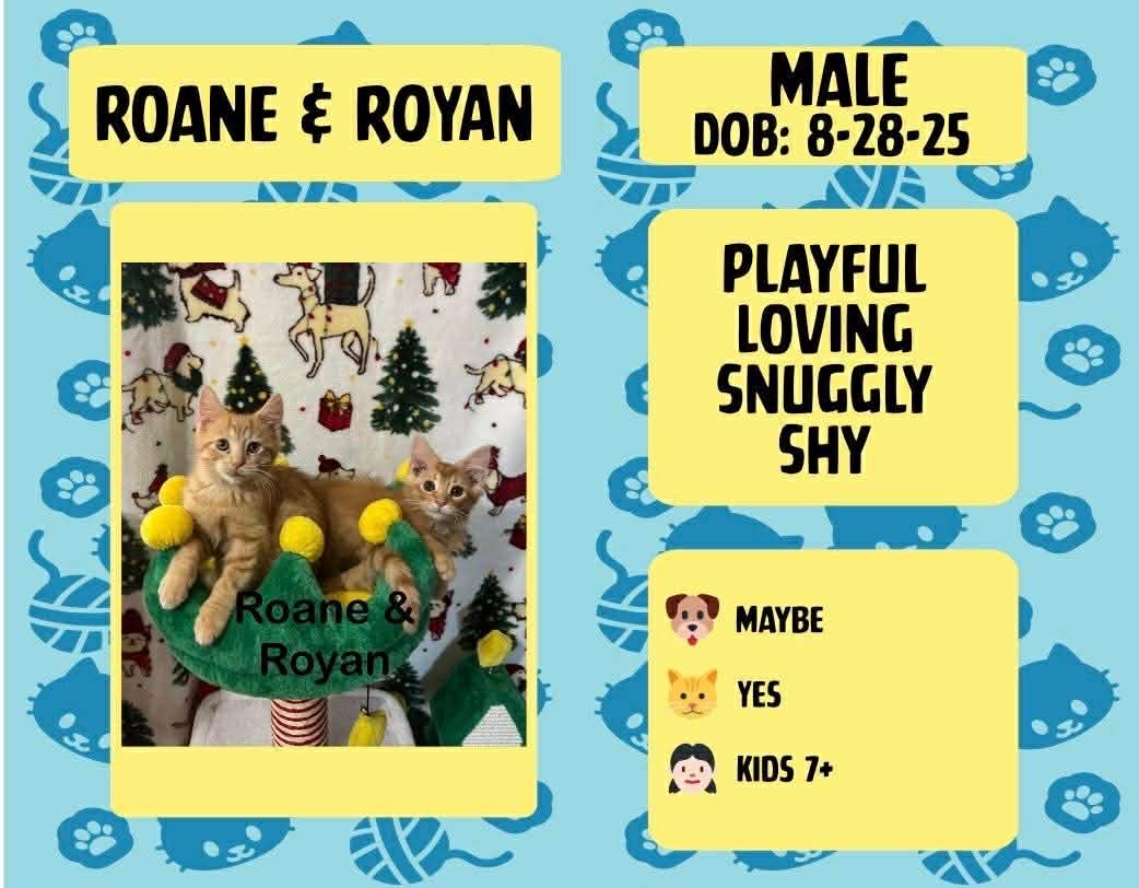 Roane &amp; Royan