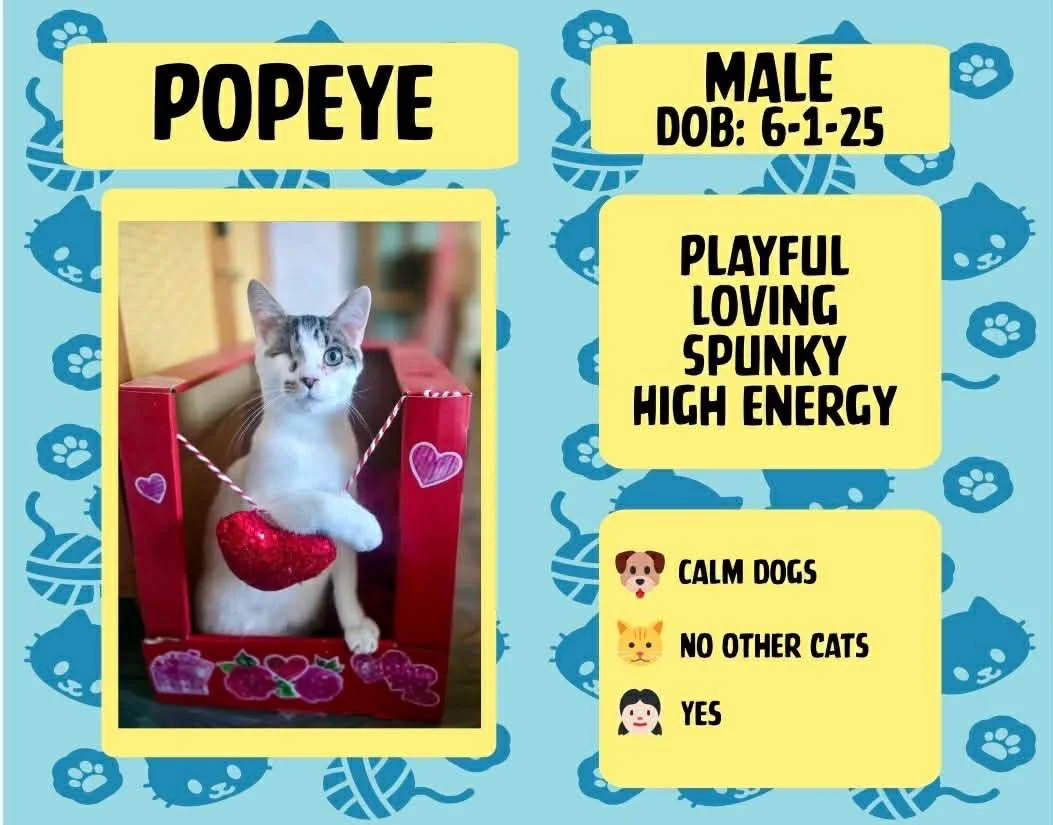 Popeye