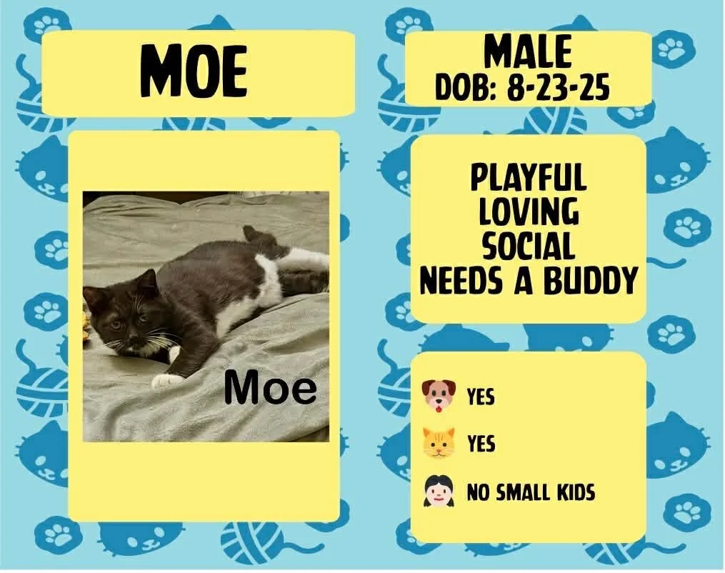 Moe