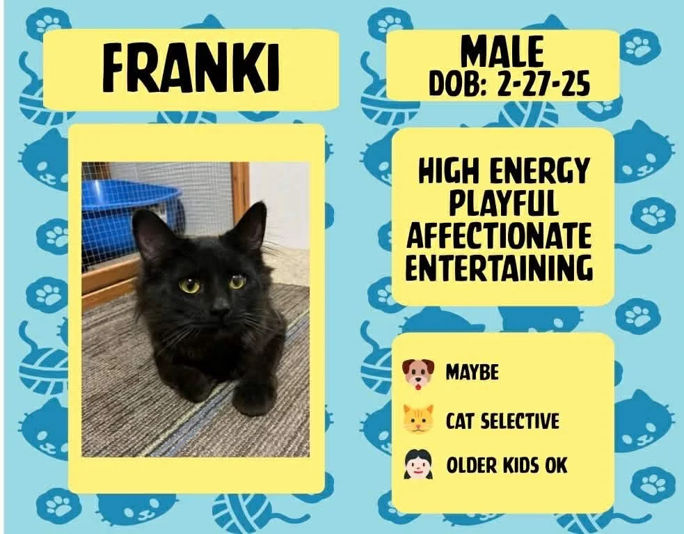 Franki