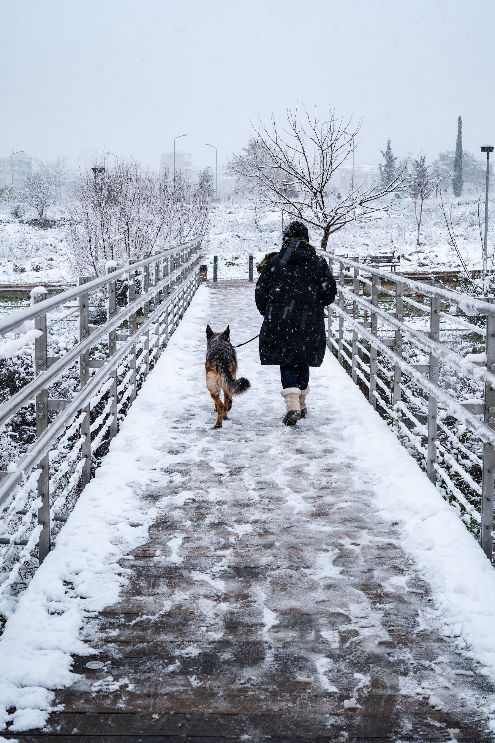 Dog-Walkk-Park-Thessaloniki-Snow-VasilisMoustakas-Travel-Photography. (3).jpg
