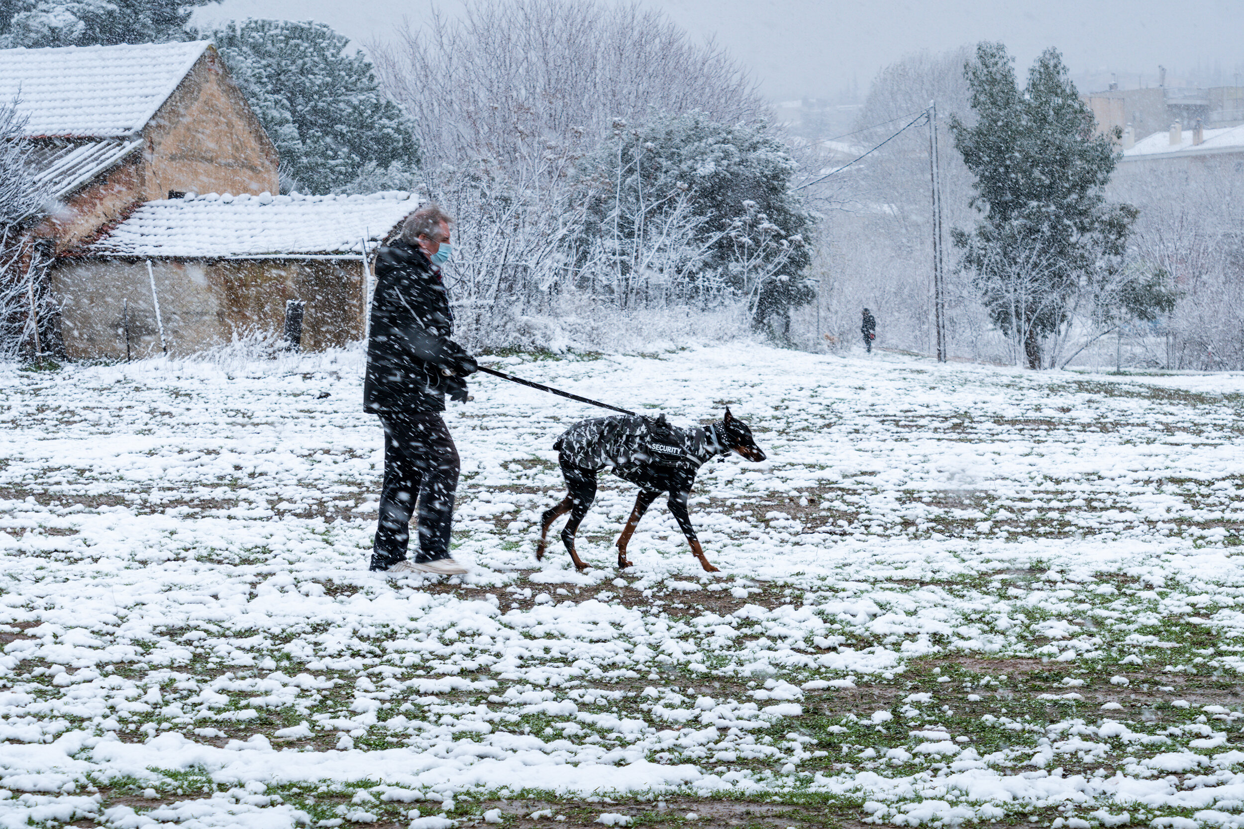 Dog-Walkk-Park-Thessaloniki-Snow-VasilisMoustakas-Travel-Photography. (1).jpg