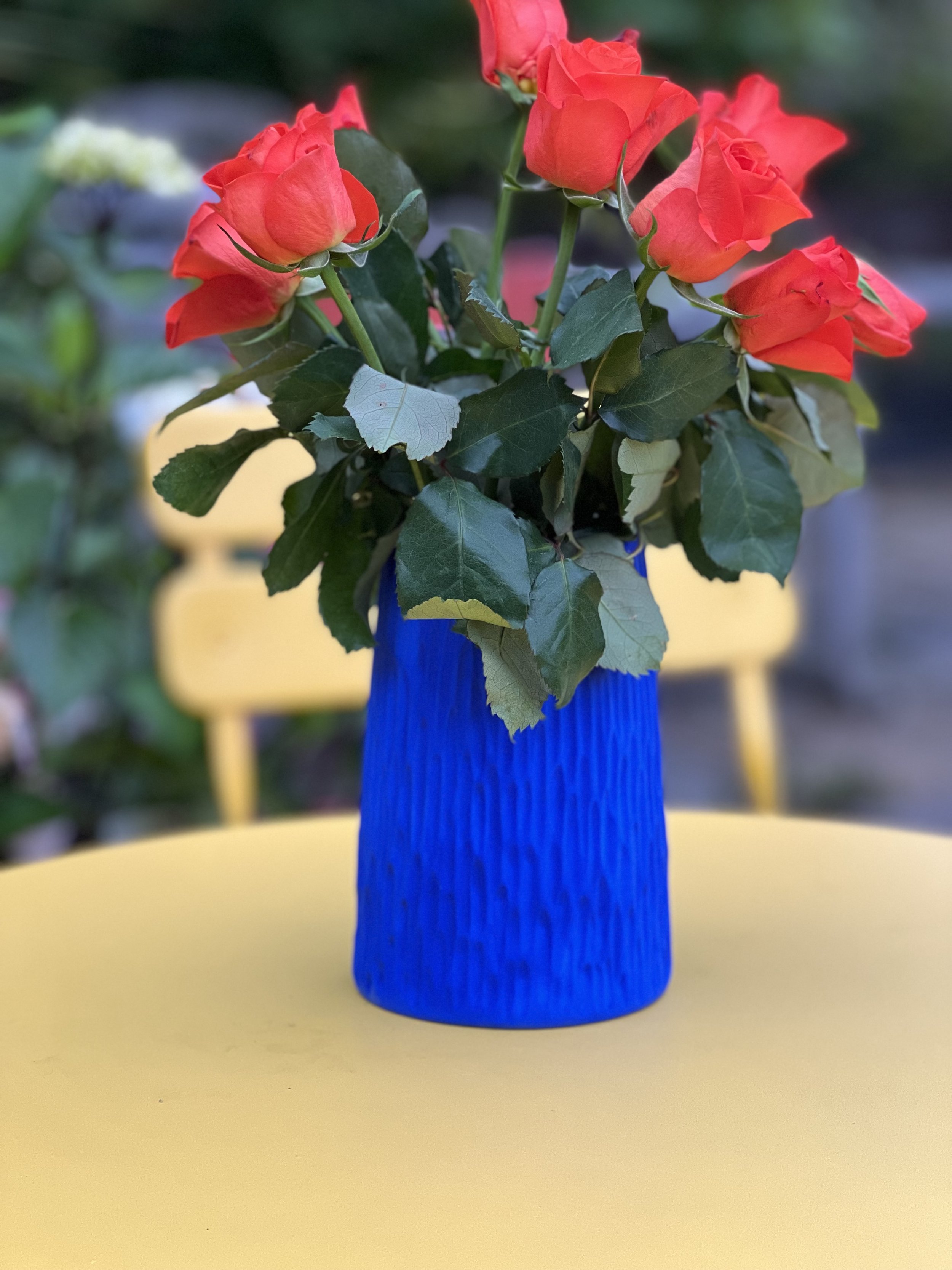 IMG_4053.jpeg