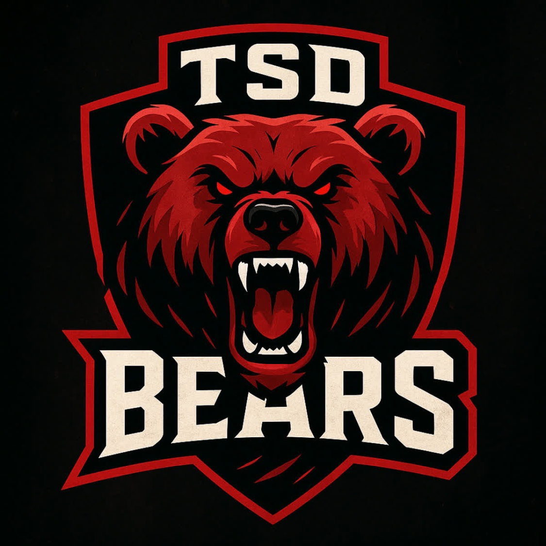 tsdb25 (1).png