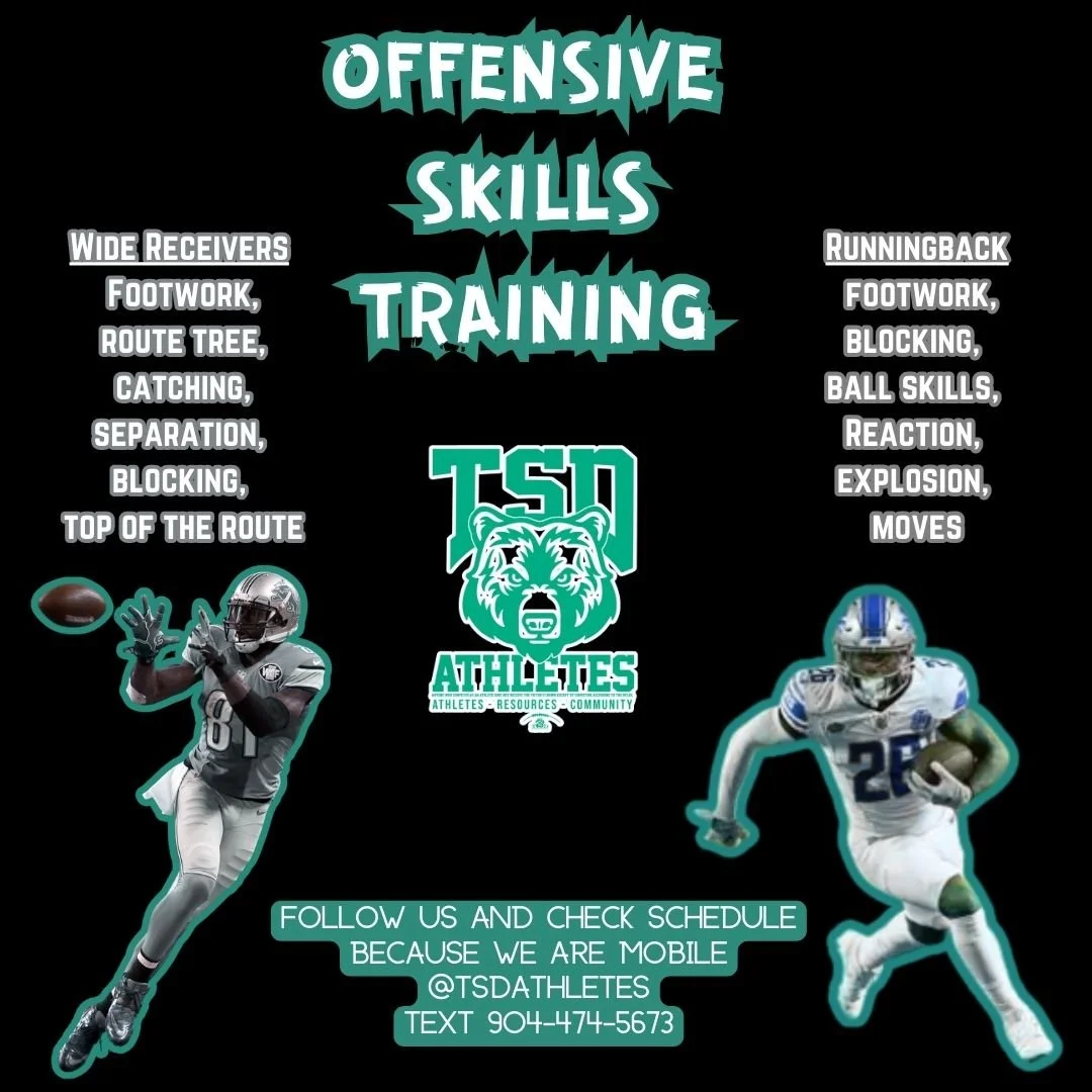 TSD Offense.jpg