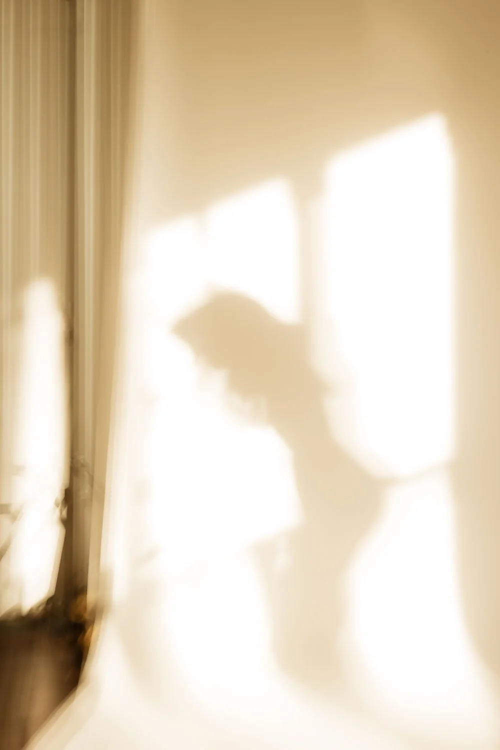  HER  00"H x 00"W, edition of X (frame) 00"H x 00"W, edition of X 00"H x 00"W, edition of X  
 Archival pigment prints on Hahnemühle paper with UV coating. Professional framing included. ded.