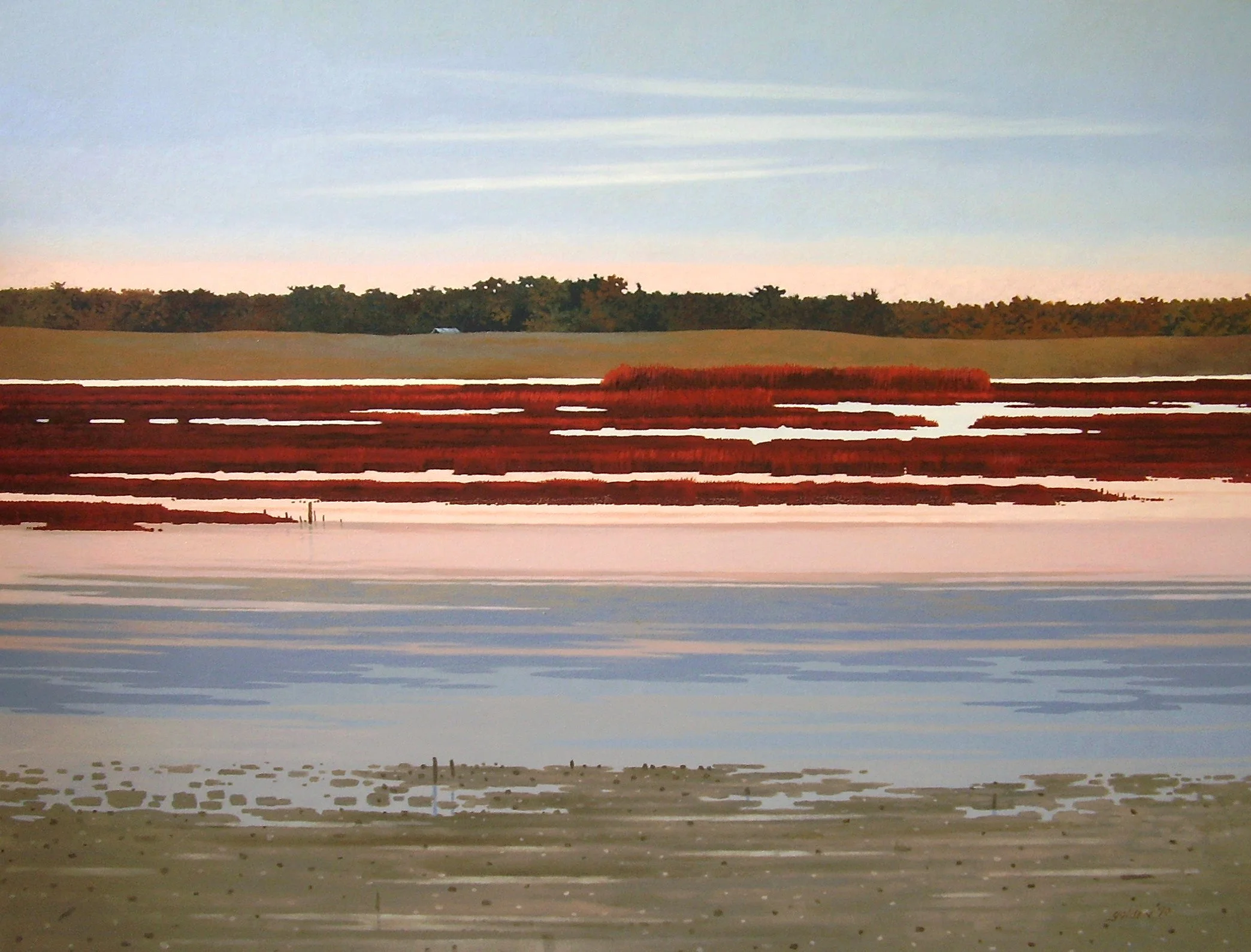  Coastal Marsh  (30" x 40"; 35" x 45" framed)
 Oil on canvas. 1990