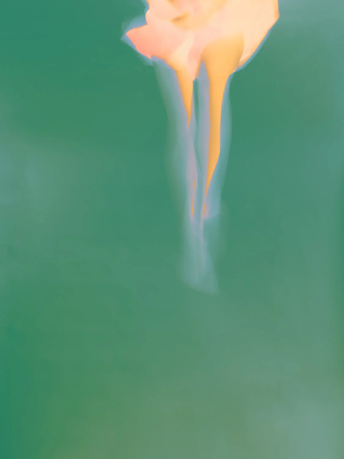  ICONIC DREAMS  40"H x 30"W, edition of 5 (oak float frame) 60"H x 45"W, edition of 3 24"H x 18"W, edition of 10  
 Archival pigment prints on Hahnemühle paper with UV coating. Professional framing included. 