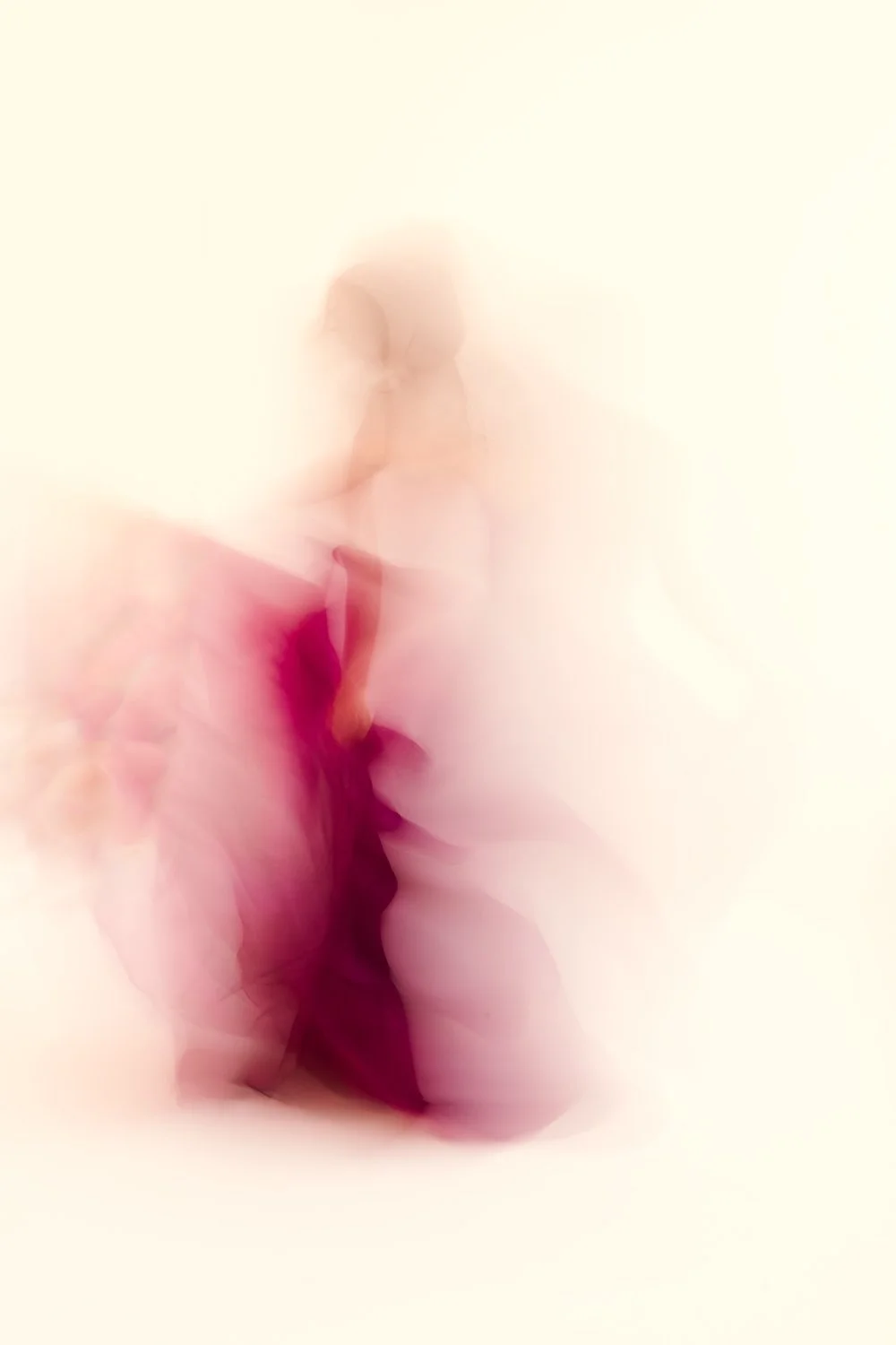  JOSEPHINE  48"H x 32"W, edition of 5 (box frame) 54"H x 36"W, edition of 3 27"H x 18"W, edition of 10  
 Archival pigment prints on Hahnemühle paper with UV coating. Professional framing included. 