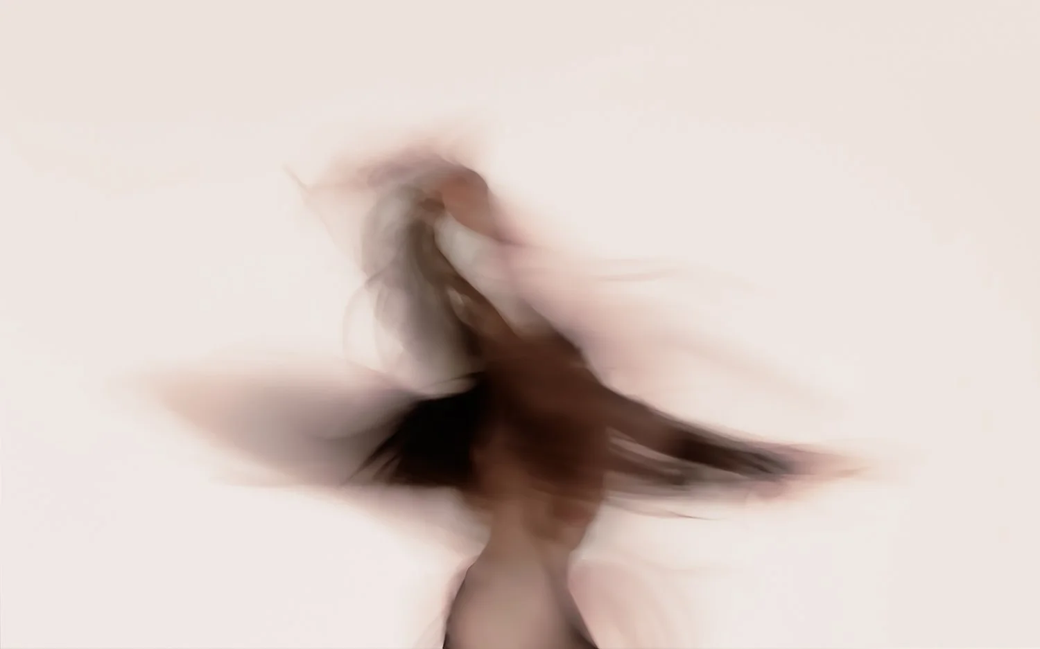  METAMORPHOSIS  37½"H x 60"W, edition of 5 (black float frame) 30"H x 48"W, edition of 5 22½"H x 36"W, edition of 10  
 Archival pigment prints on Hahnemühle paper with UV coating. Professional framing included. 