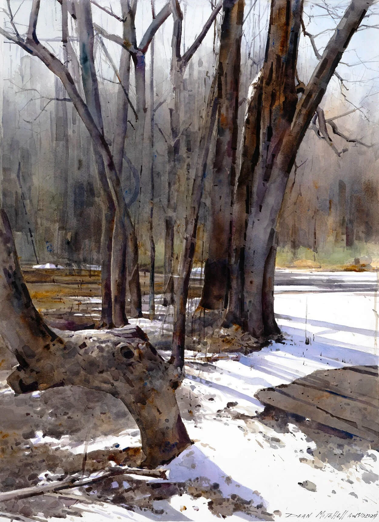  WARM WINTER  (30" x 22)
 Watercolor. 2024. *SOLD*   

Winner, 2026 Irving Shapiro Founder's Award, Transparent Watercolor Society of America
