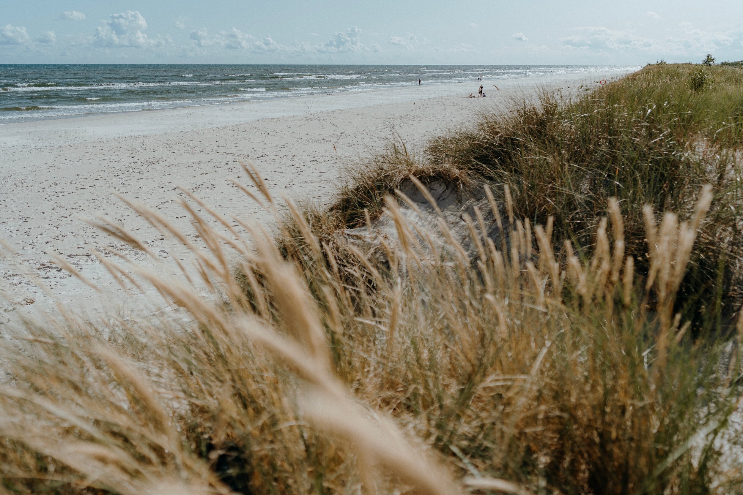 Greenwashing: What is it and how can you spot it?
