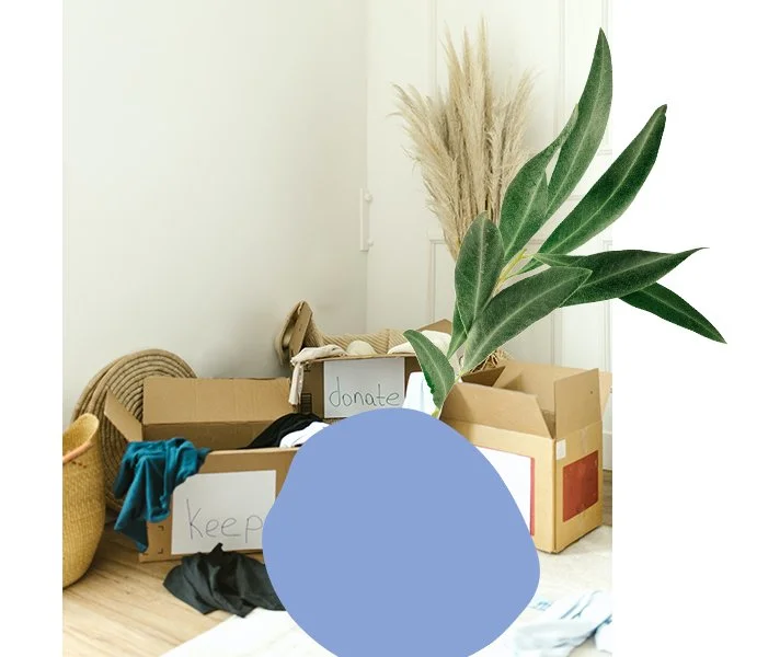 Declutter Your Mind
